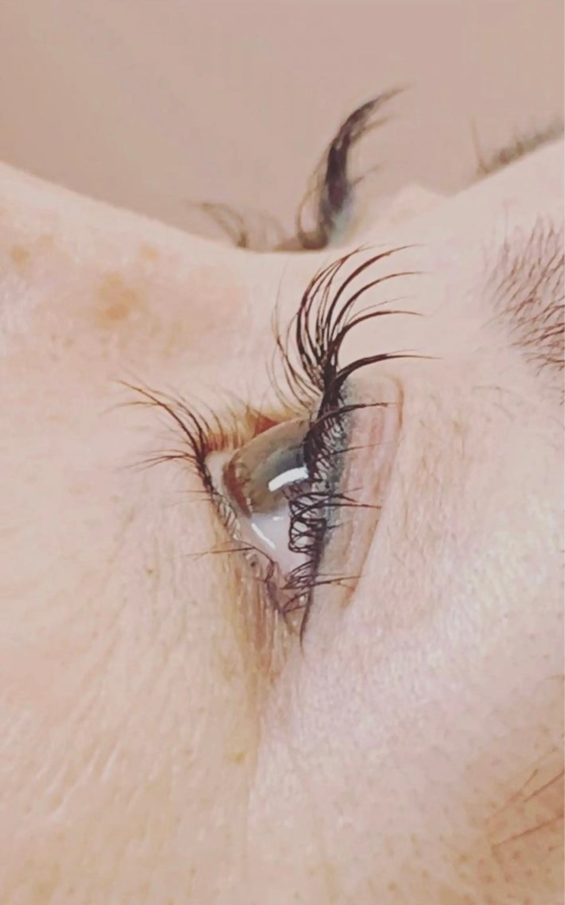 マツエク・マツパ ケラチンラッシュリフト スタジオKアリィ所属・エステティック スタジオアリィのマツエク・マツパデザイン