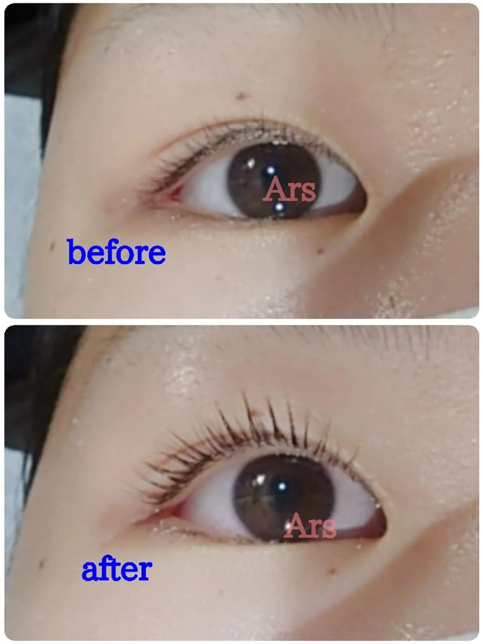 マツエク・マツパ アイリッドアップパーマ Ars (アルス)所属・Ars (アルス)のマツエク・マツパデザイン