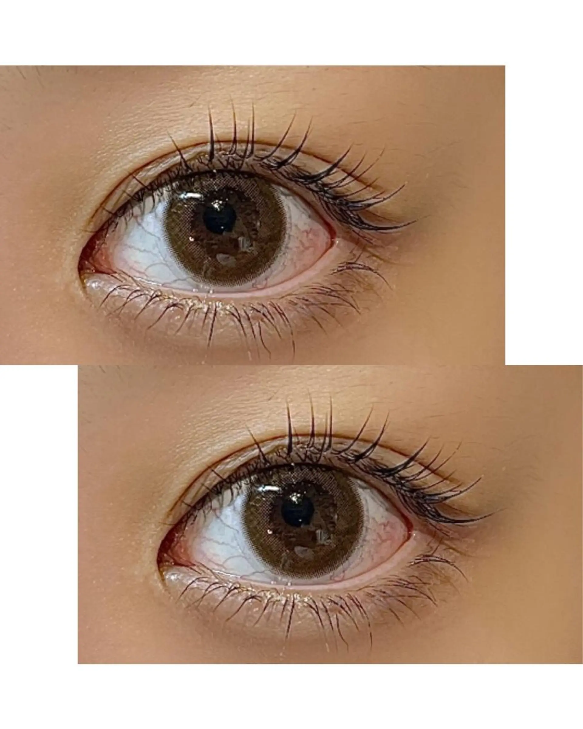 ãããšã¯ã»ããã ððŠð® .ã®ãããšã¯ã»ããããã¶ã€ã³