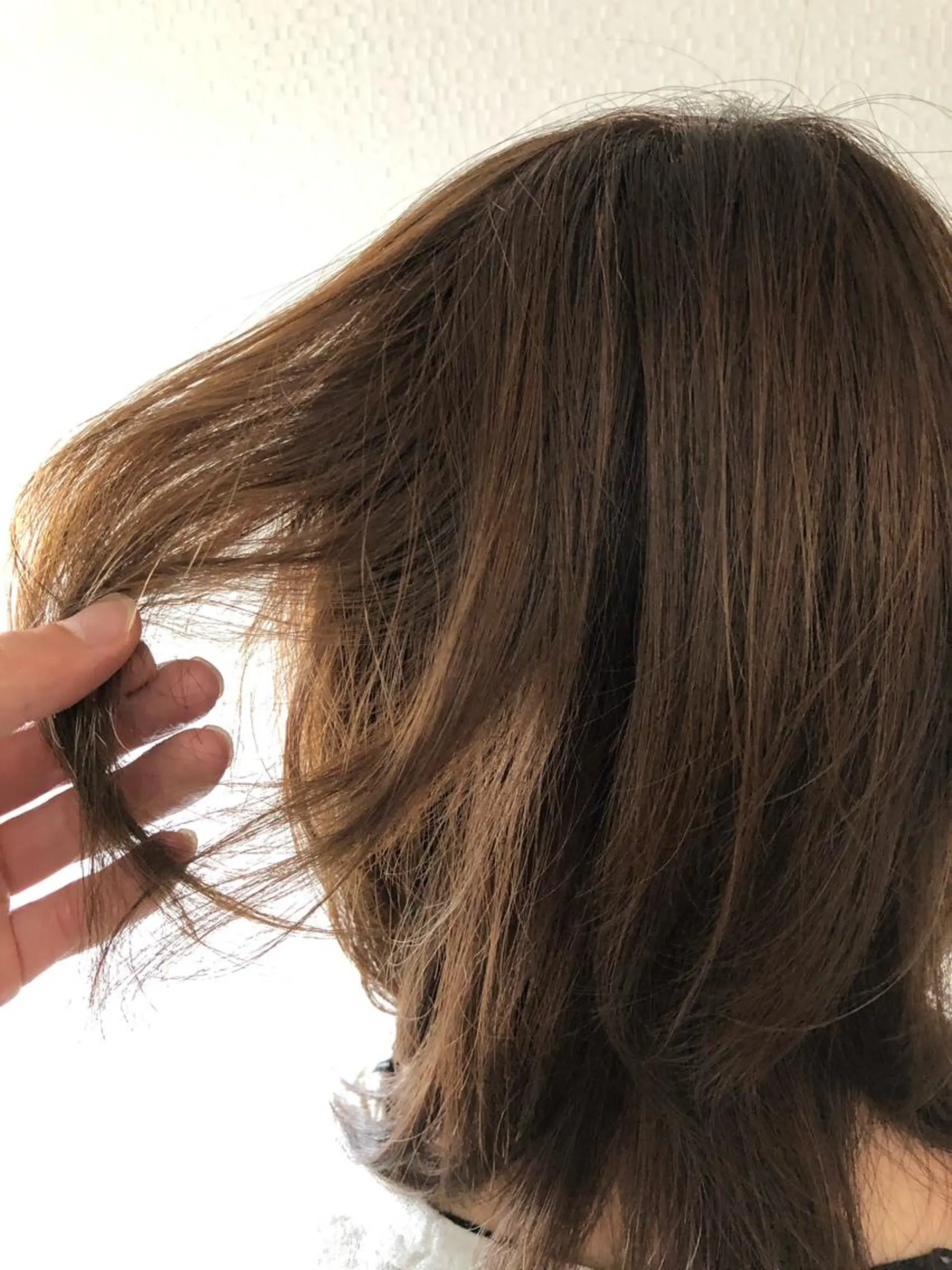 ミディアム アッシュ カット ヘアカラー トリートメント ✨terra✨佐伯 晋吾のヘアスタイル