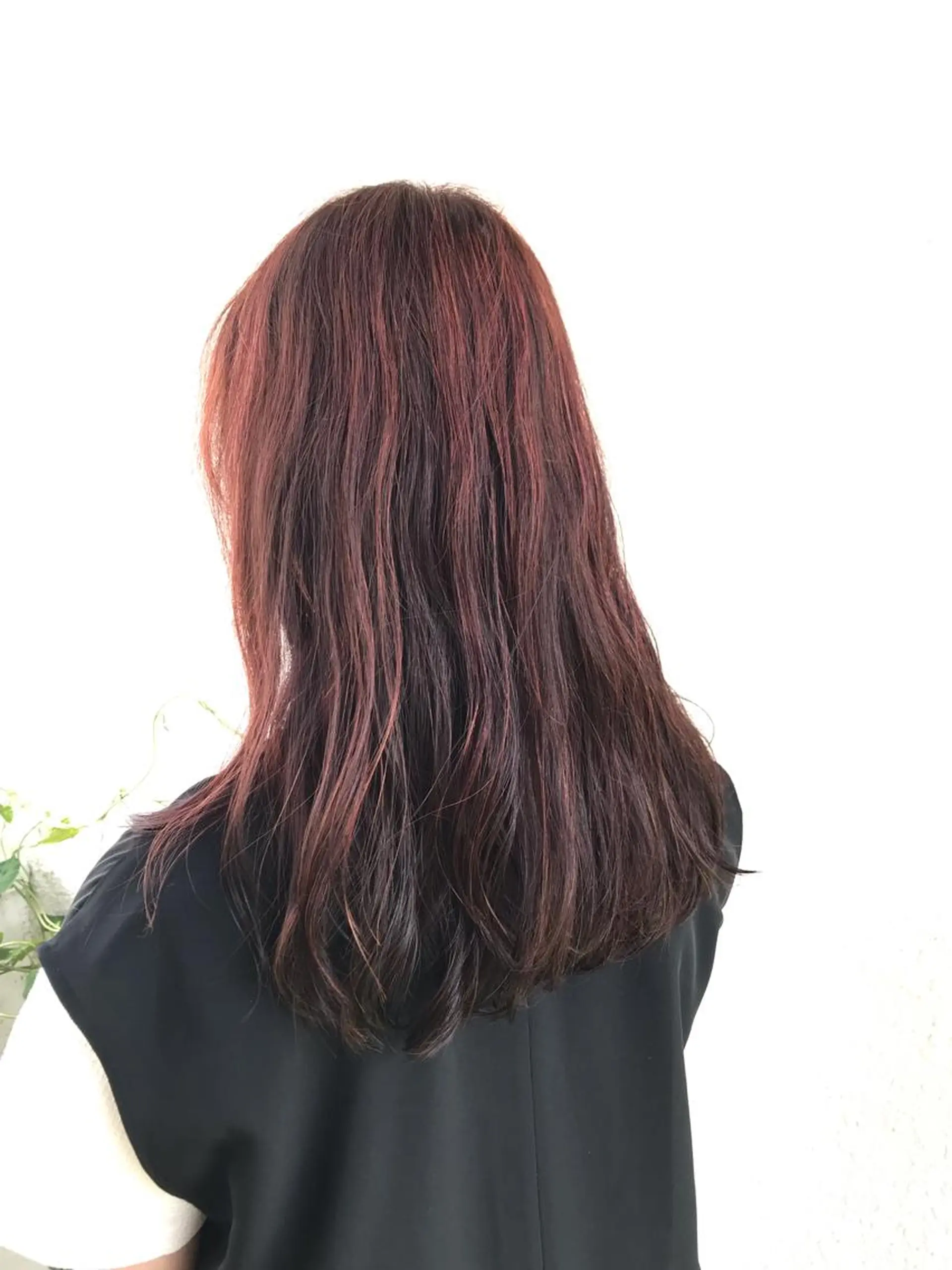 ロング 小杉輝/ショート /艶カラー✨のヘアスタイル