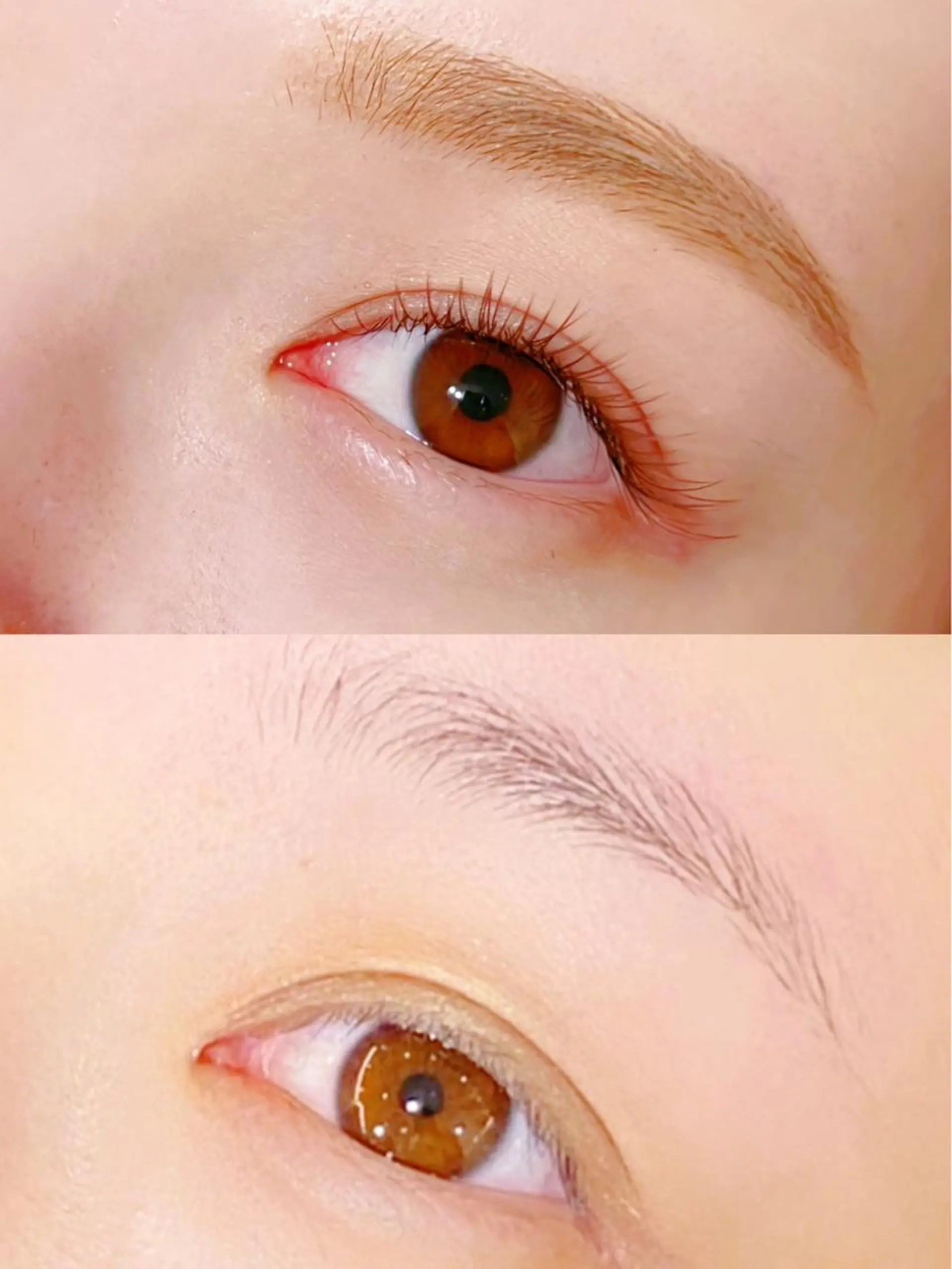 マツエク・マツパ カラーマツエク ナチュラル サロンレッスンモデル 募集の眉毛・アイブロウイメージ