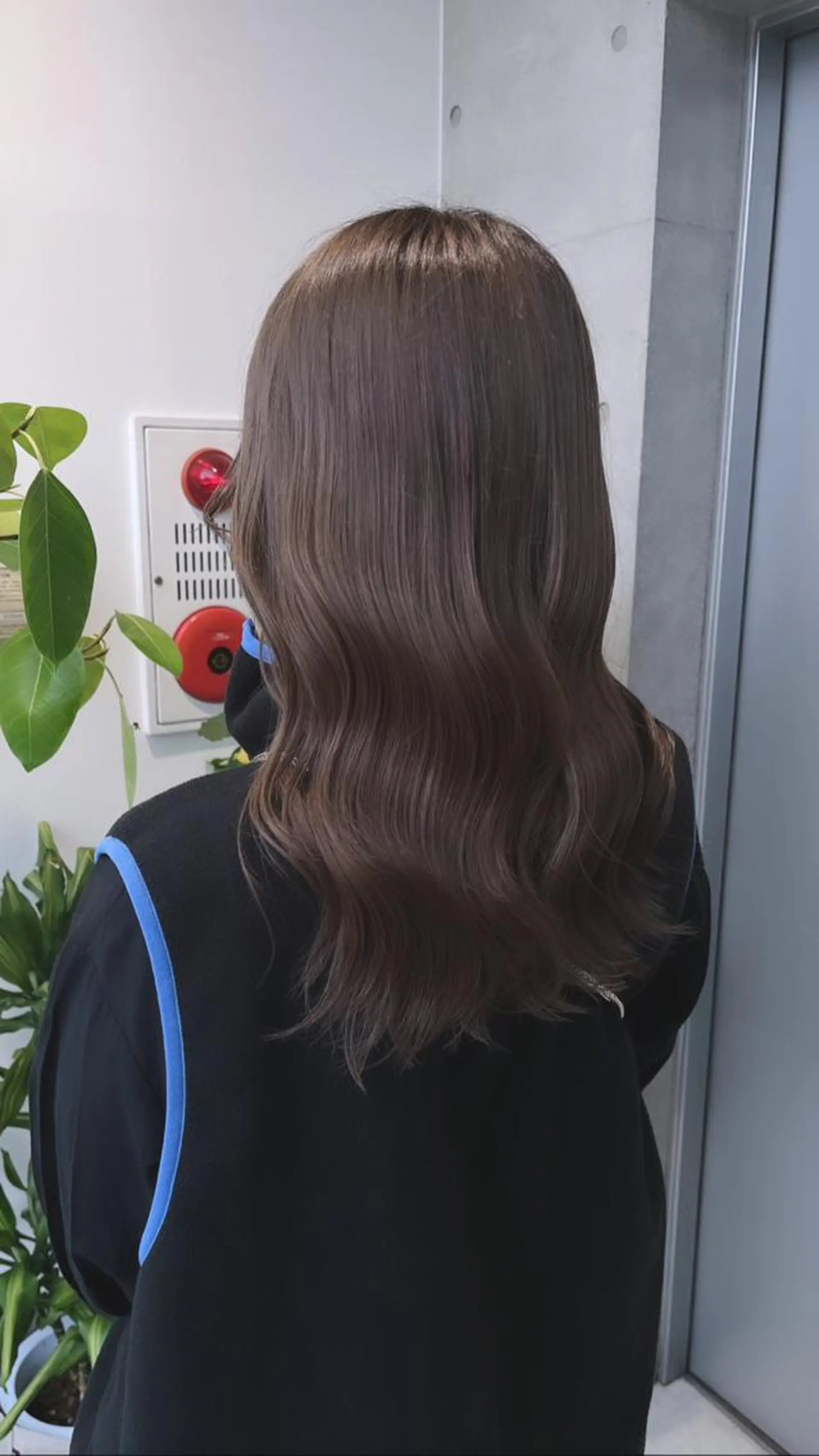 セミロング カット ヘアカラー トリートメント 🌫️大人韓国ヘア 🌫️naoyaのヘアスタイル