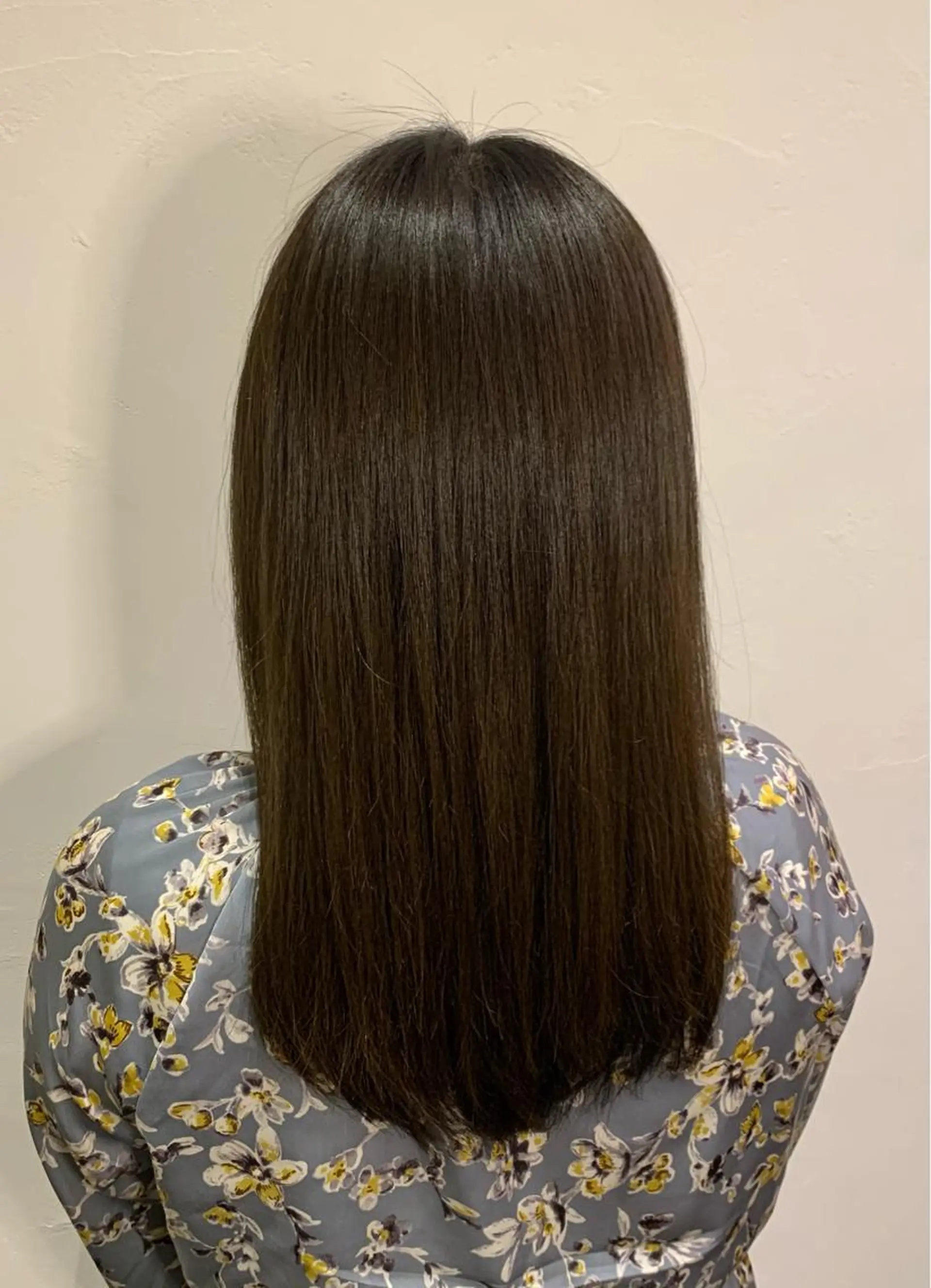ロング カラー トリートメント ヘアカラー トリートメント 🧸 仲間ひめかのヘアスタイル