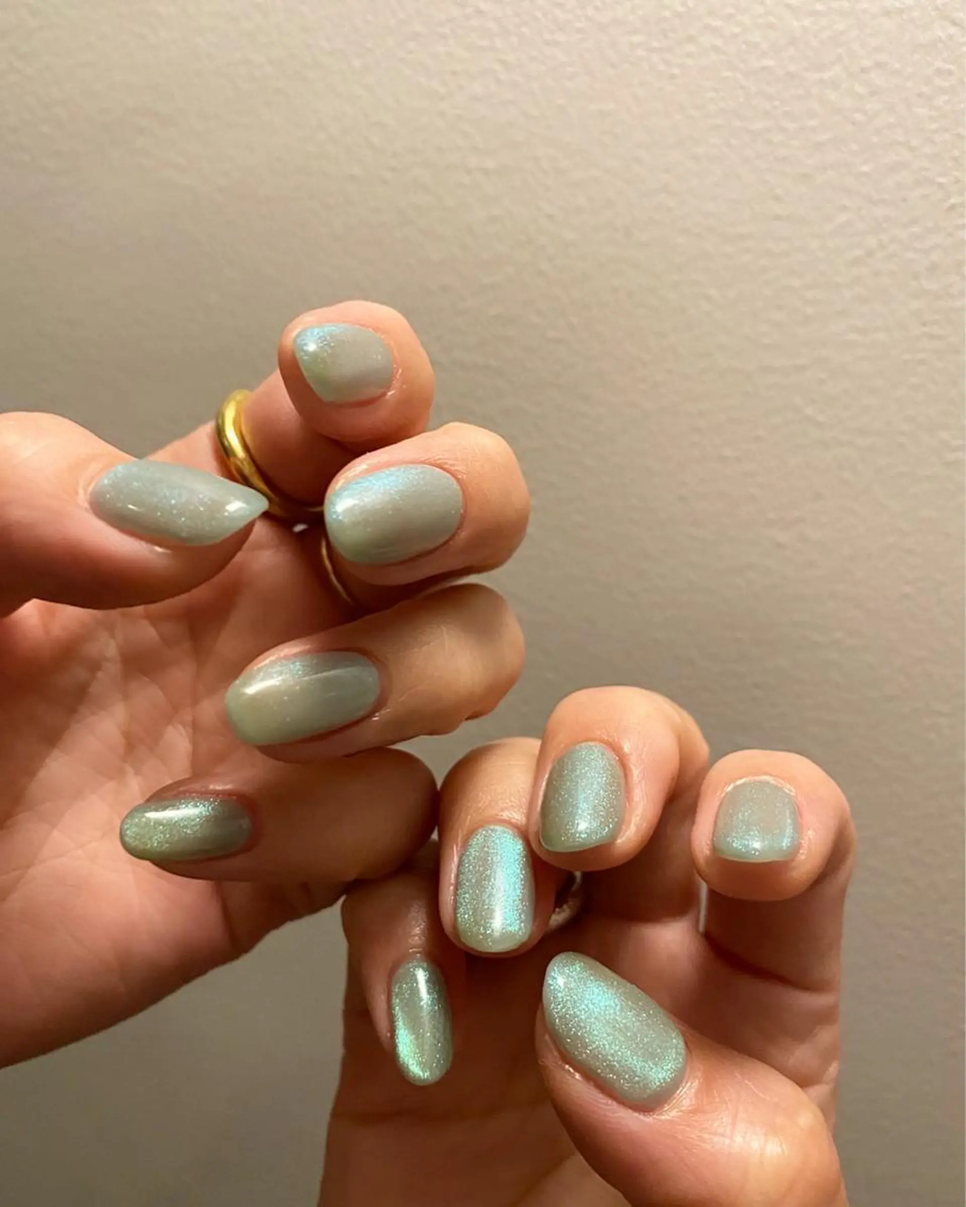 ネイル アートネイル フットネイル マグネットネイル マグネットワンカラー ニュアンスネイル ハンドネイル nailist SAYAのネイルデザイン