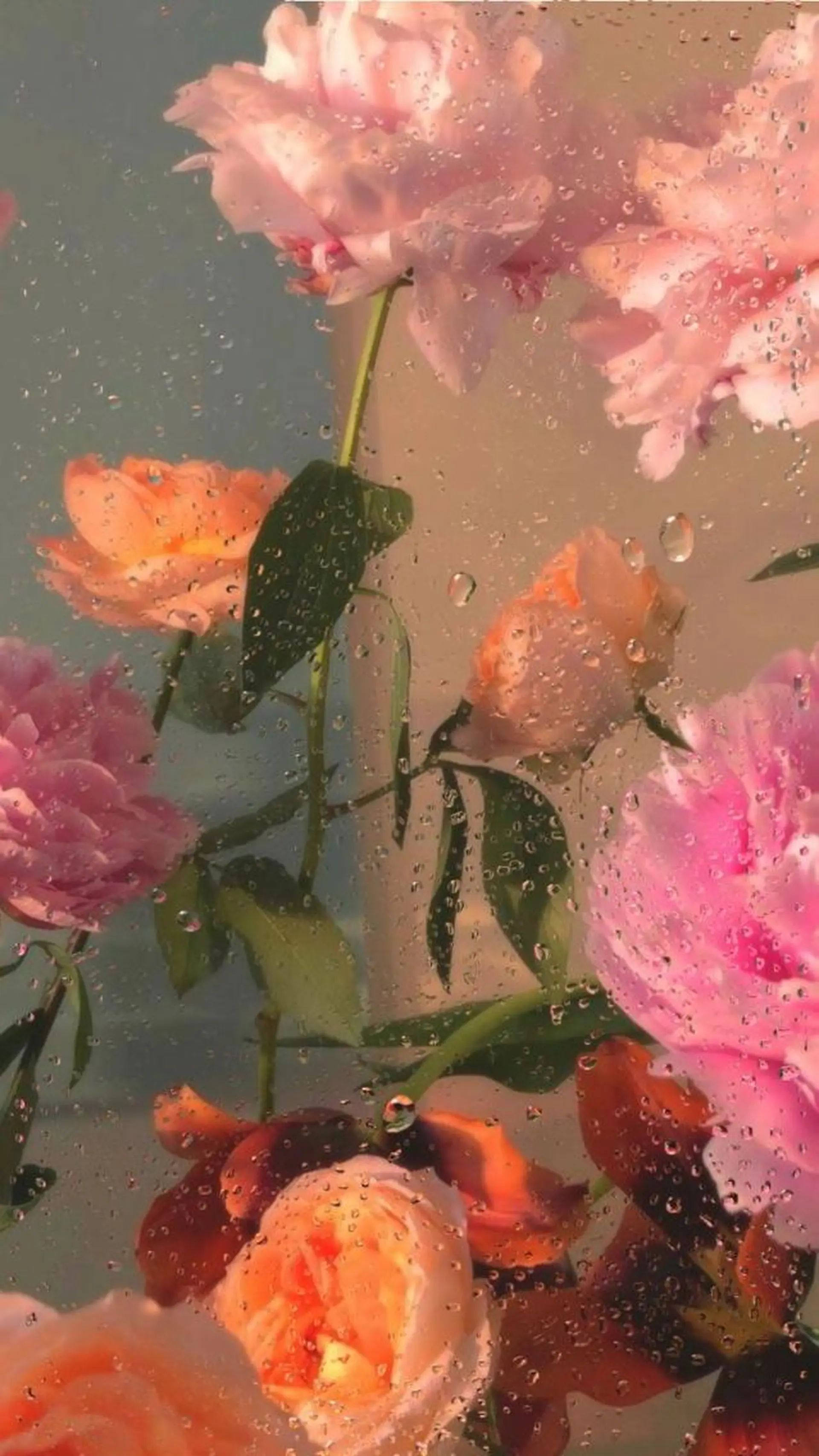 マツエク・マツパ アイブロウ マツパ 🪴LiNA 菅原愛佳のマツエク・マツパデザイン