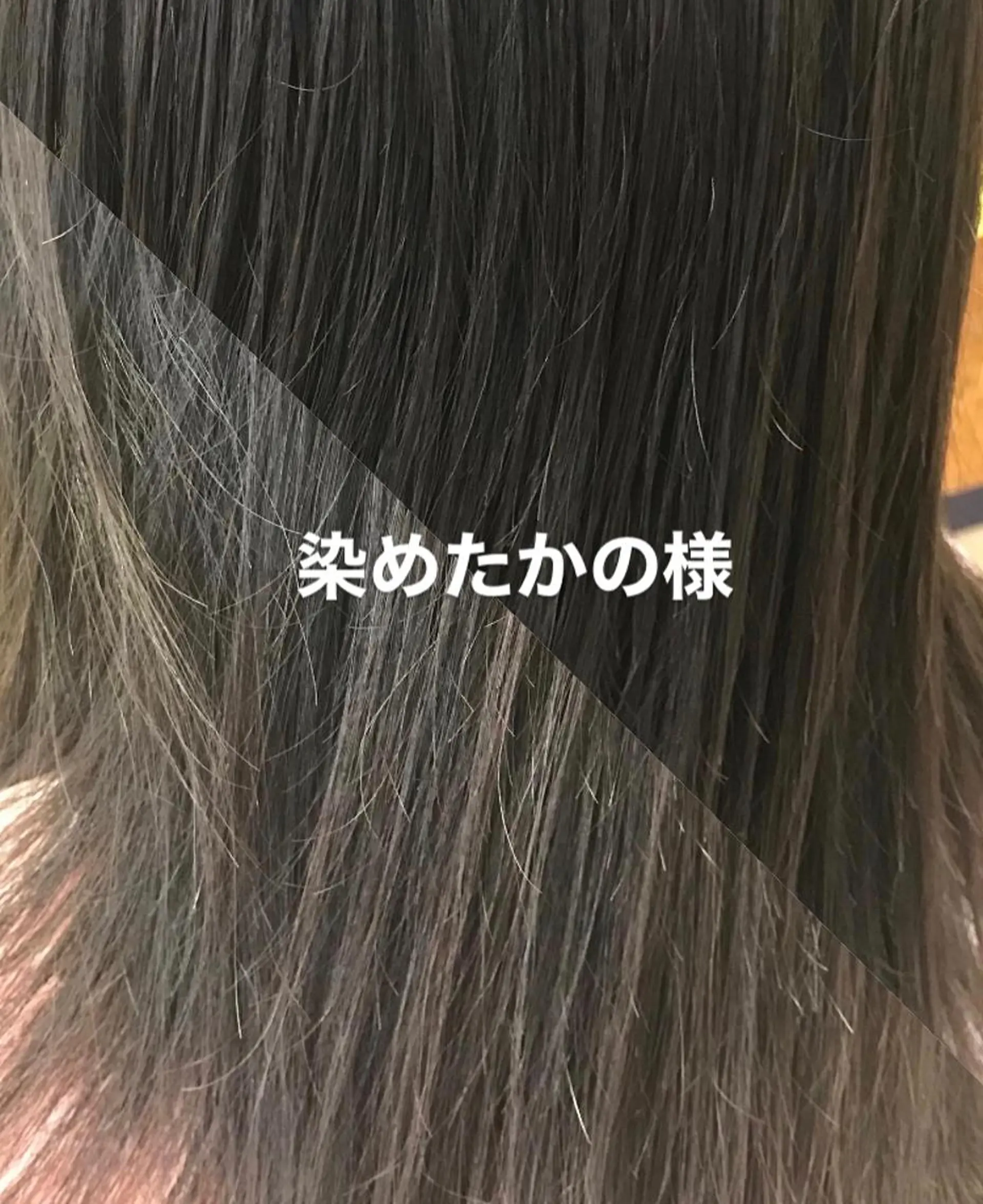 セミロング 横田  尚登のヘアスタイル