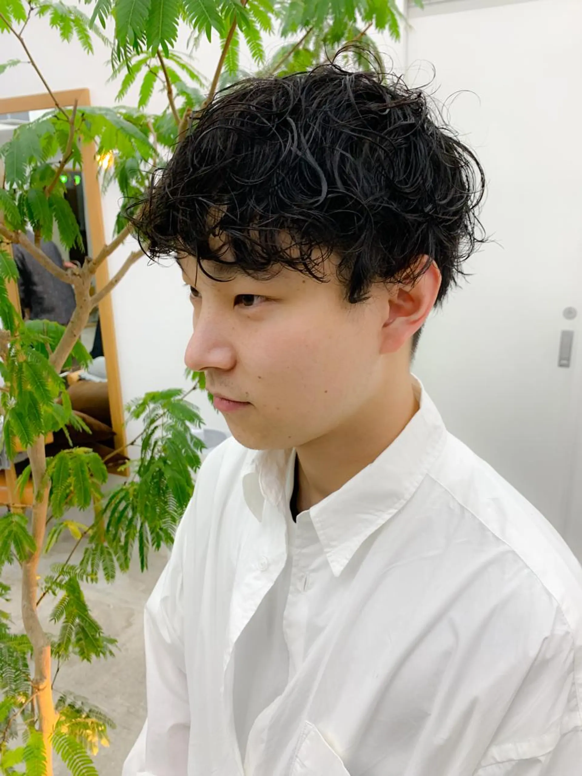 ショート カット SALOWIN 名古屋名駅店所属・パーマ/パーマ落とし /藤木舜太のヘアスタイル