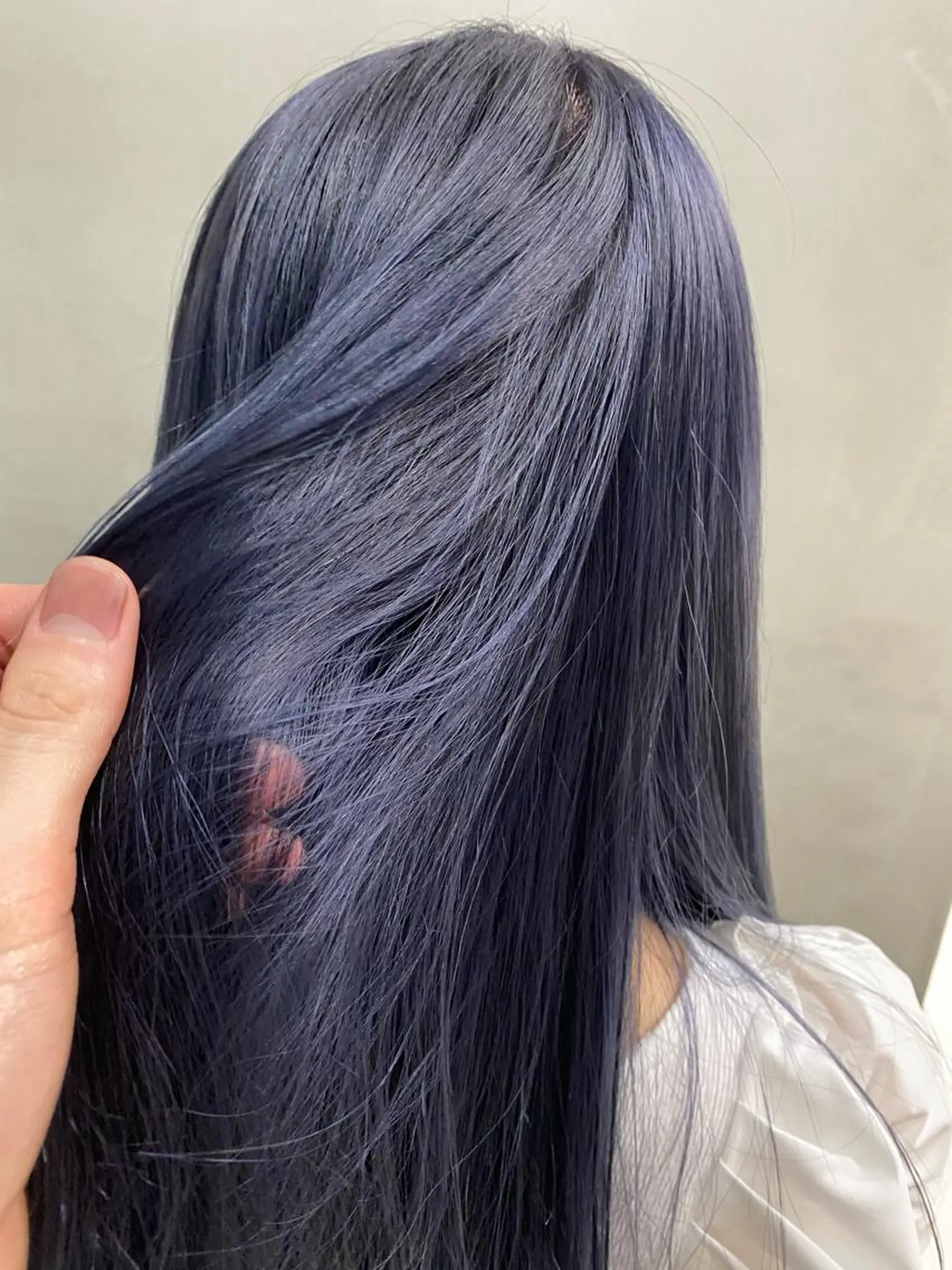 セミロング カラー ブルーカラー ブルーパープル パープルカラー Kaito🐶/ボブ /レイヤー/デザインのヘアスタイル