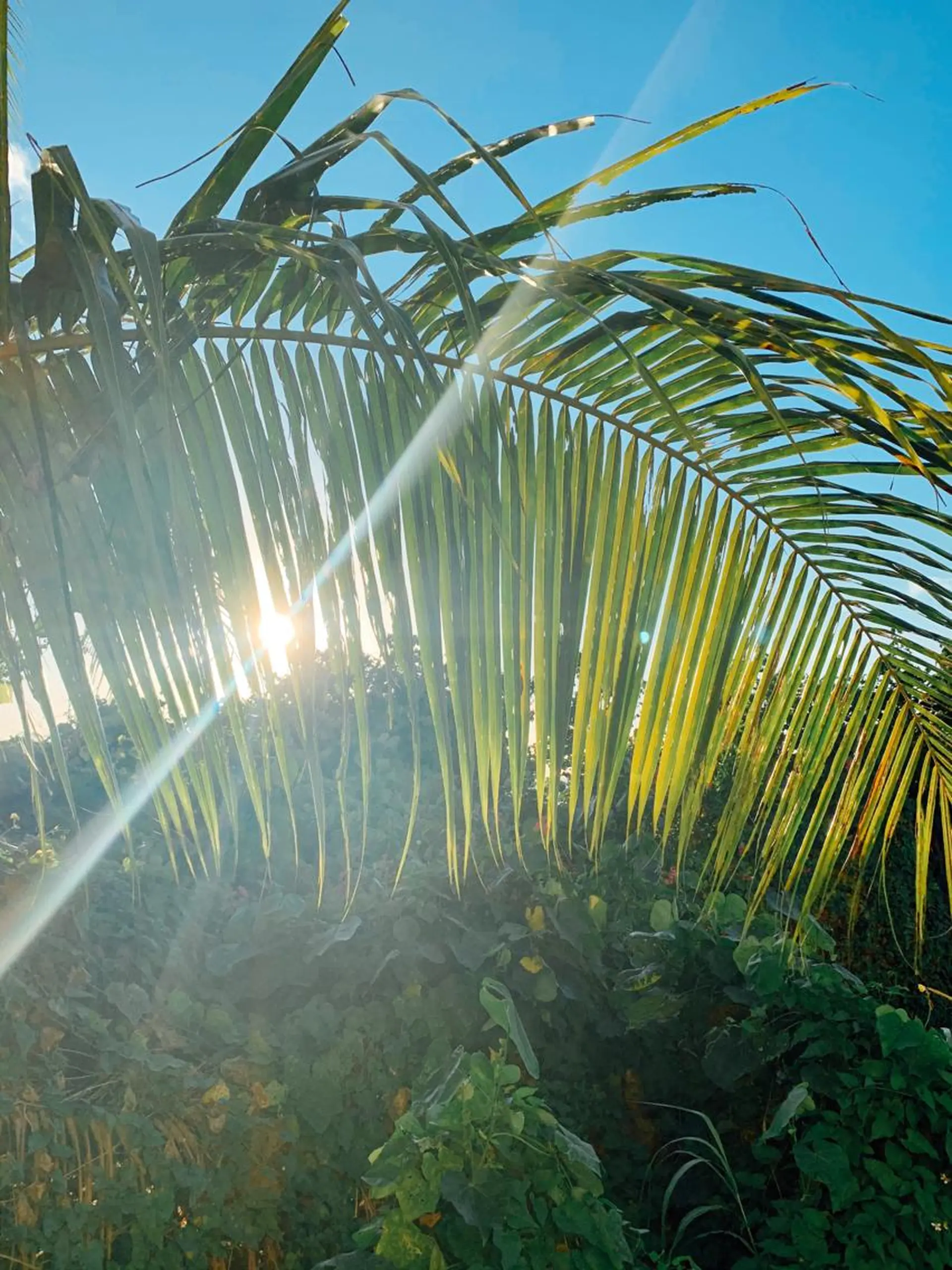 𝐘𝐎𝐒𝐇𝐈 𝐌𝐈🌞🏝のマツエク・マツパデザイン
