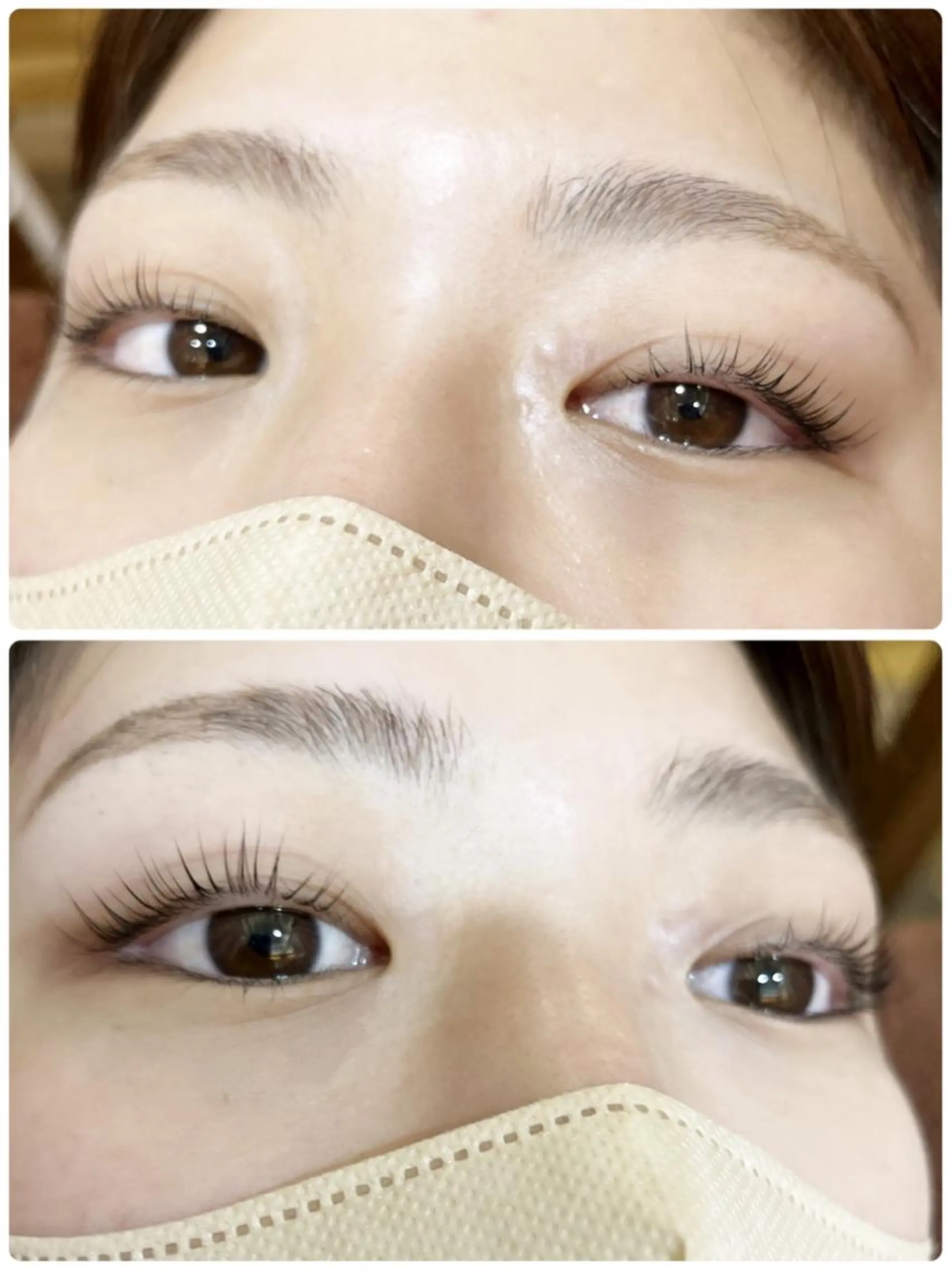 マツエク・マツパ まつげパーマ Holly  Bio KIKOの眉毛・アイブロウイメージ