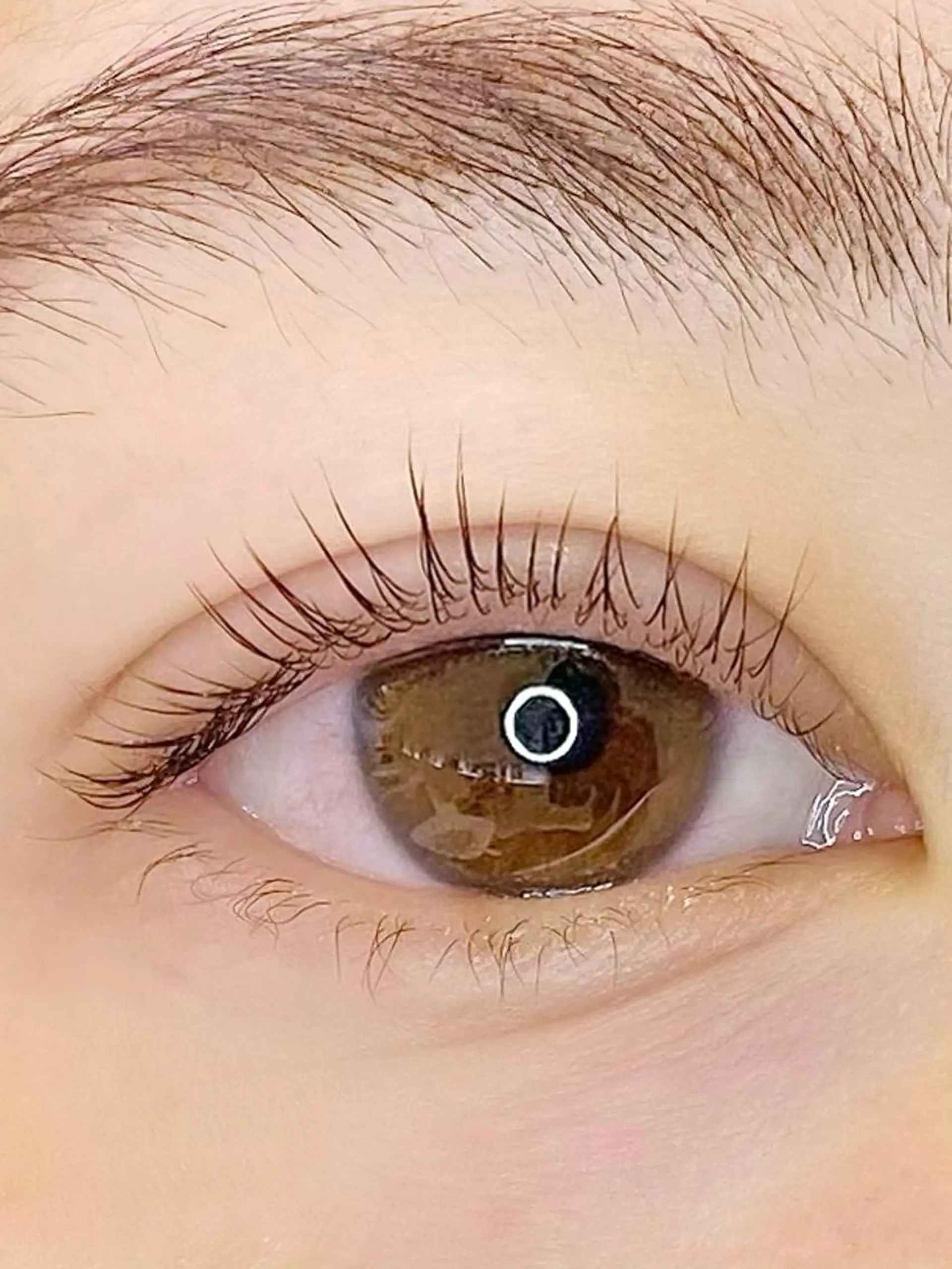 マツエク・マツパ ケラチンラッシュリフト まつげパーマ 💎似合わせアイ 💎木津れいらのマツエク・マツパデザイン