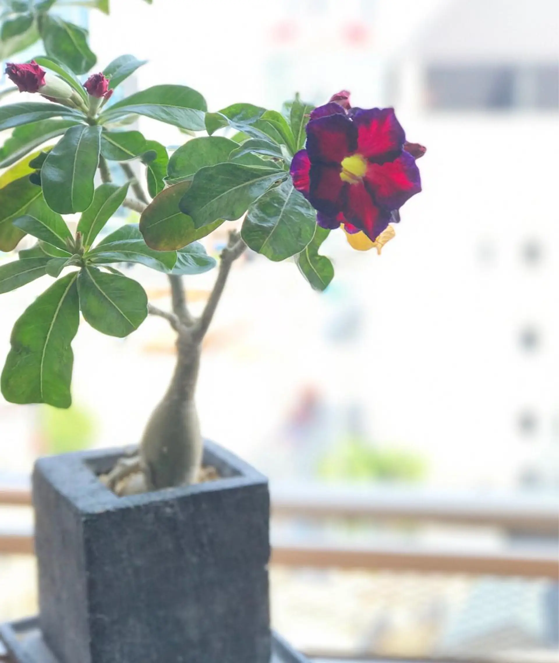 大阪・感覚から整う 体質改善サロンのエステ・リラクイメージ