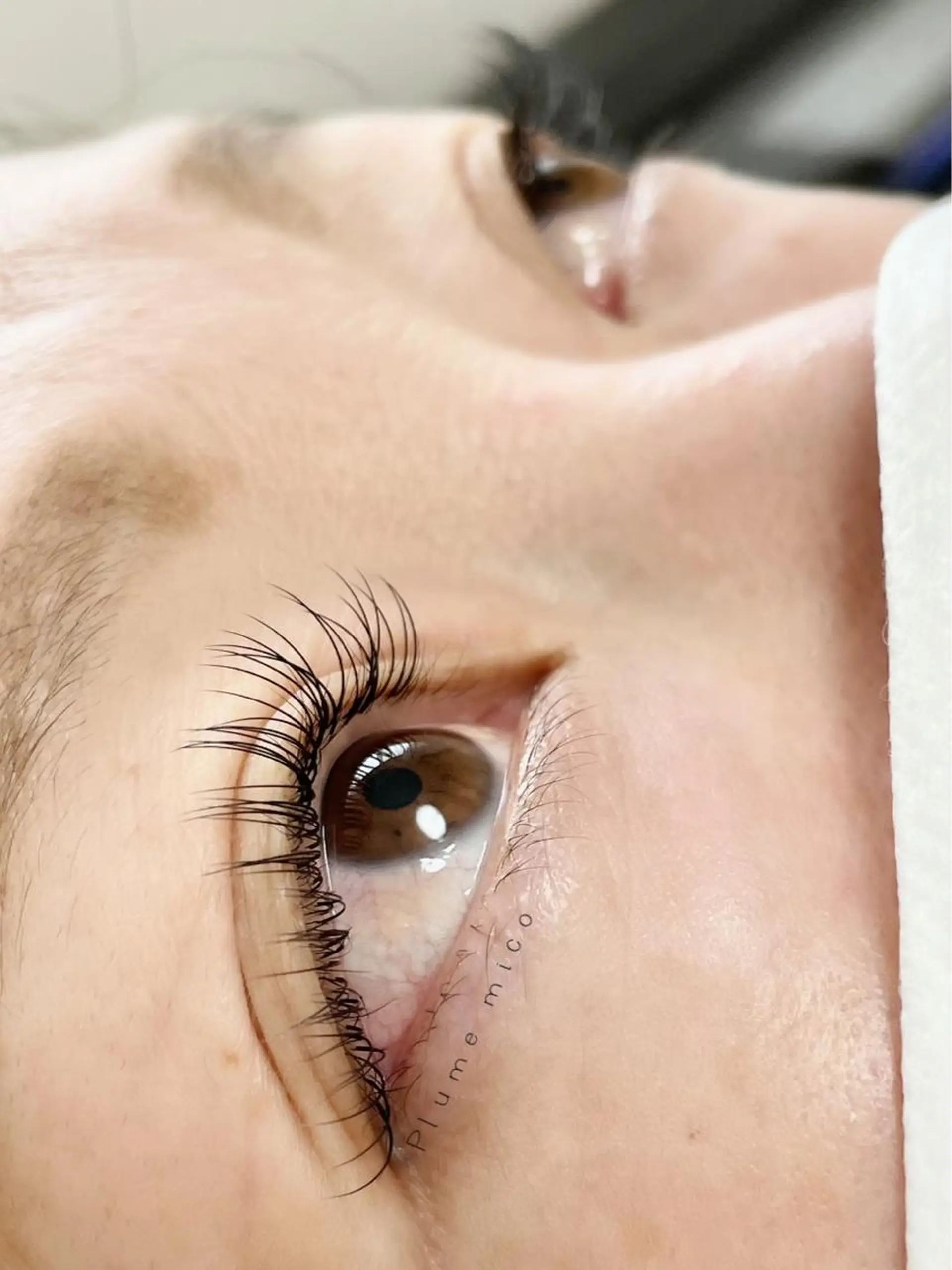 マツエク・マツパ マツエク Plume micoのマツエク・マツパデザイン