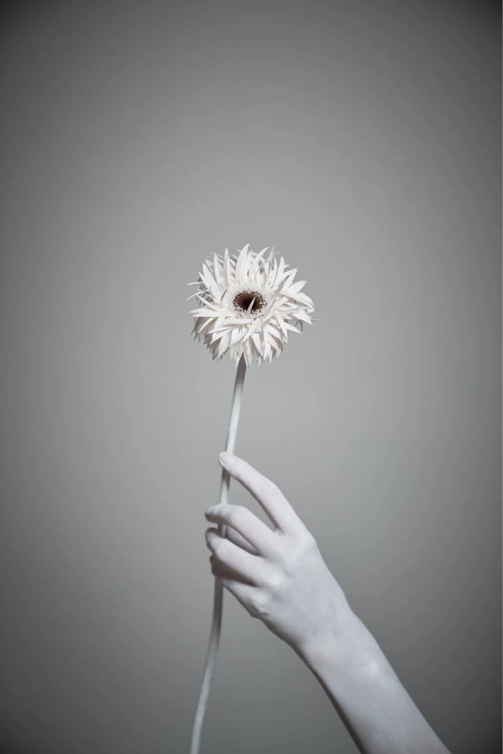 Shizuki Teradaのマツエク・マツパデザイン