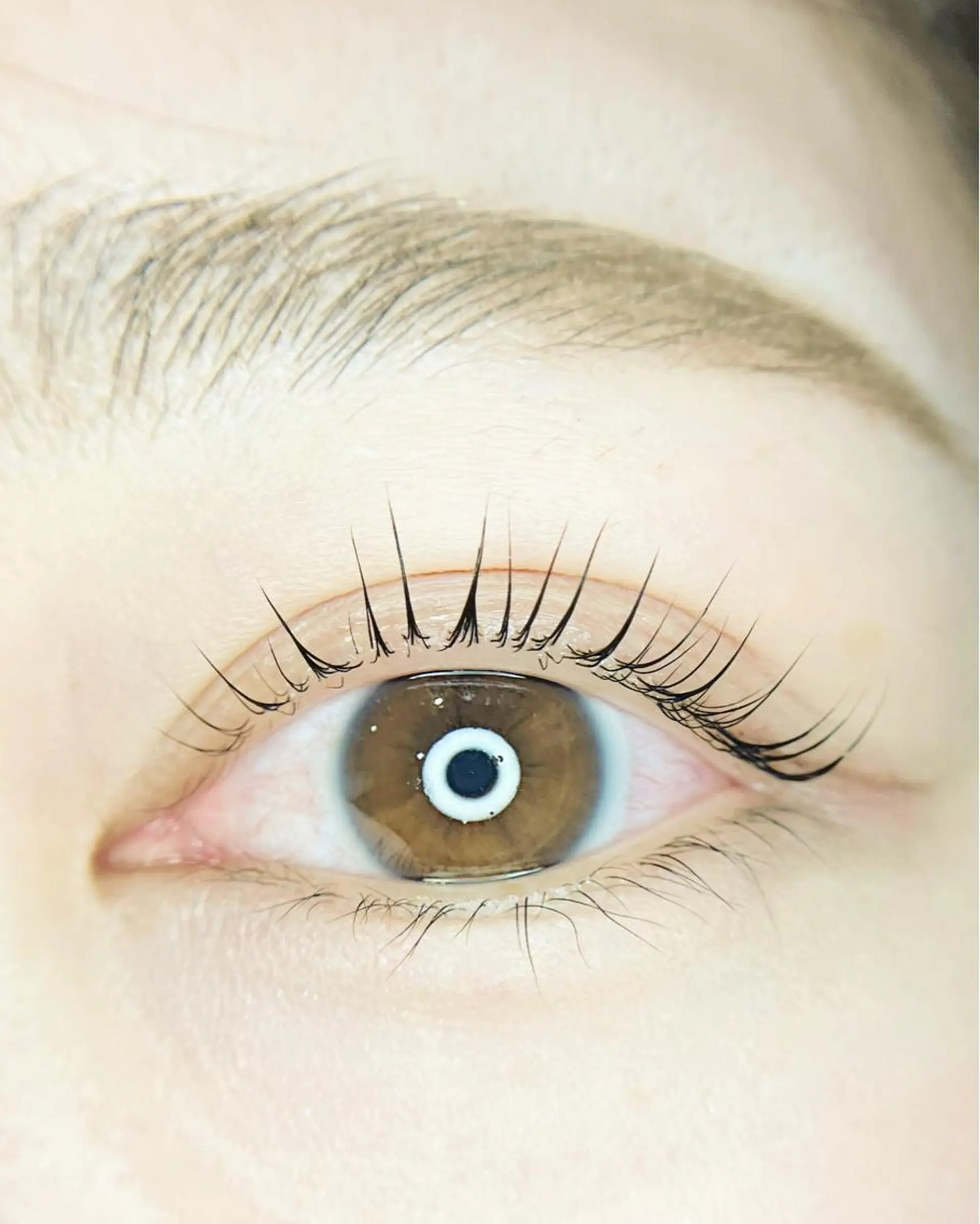 マツエク・マツパ マツパ 【 Vif 】 SHIORIのマツエク・マツパデザイン