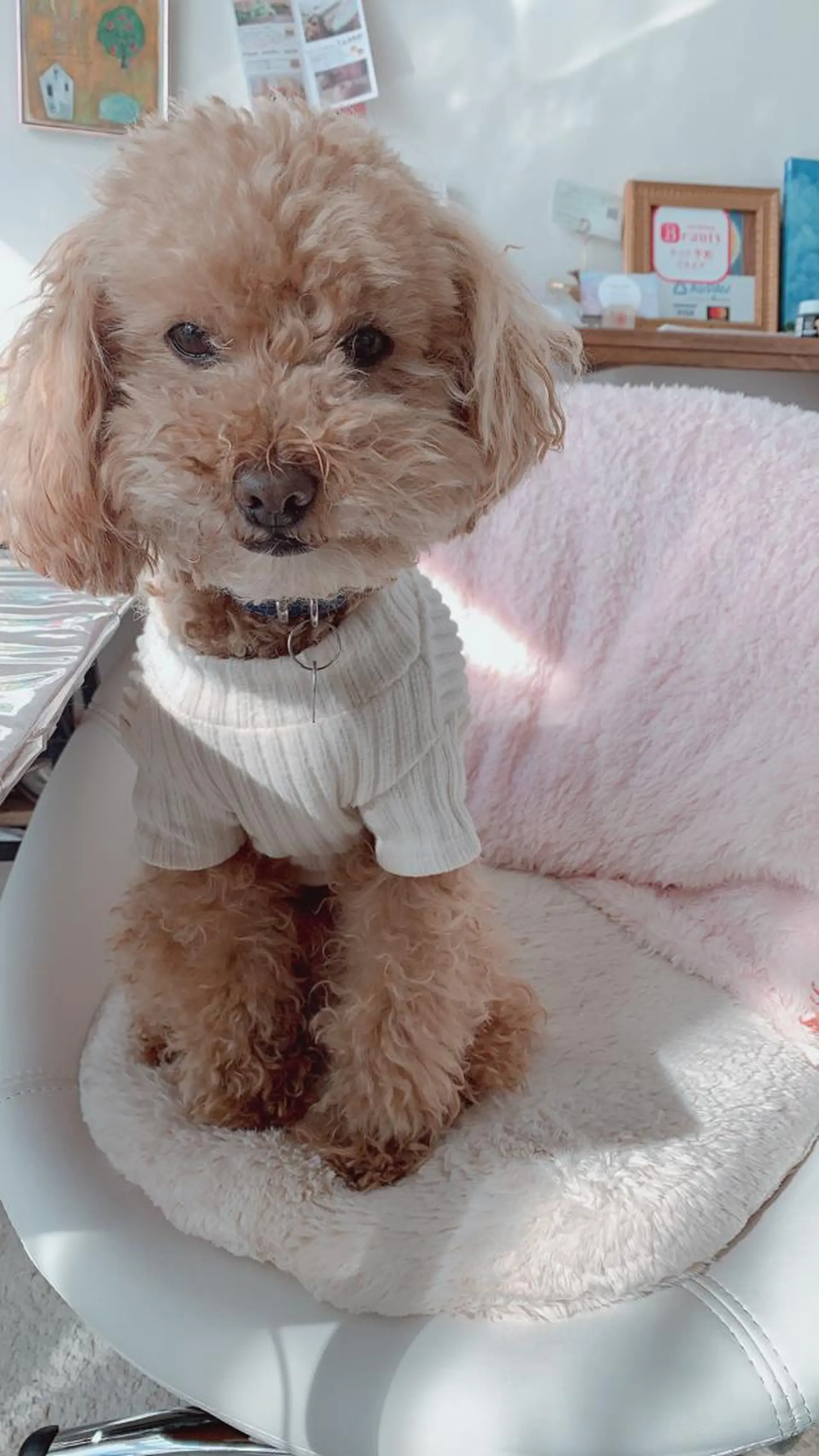 pipi ..のネイルデザイン