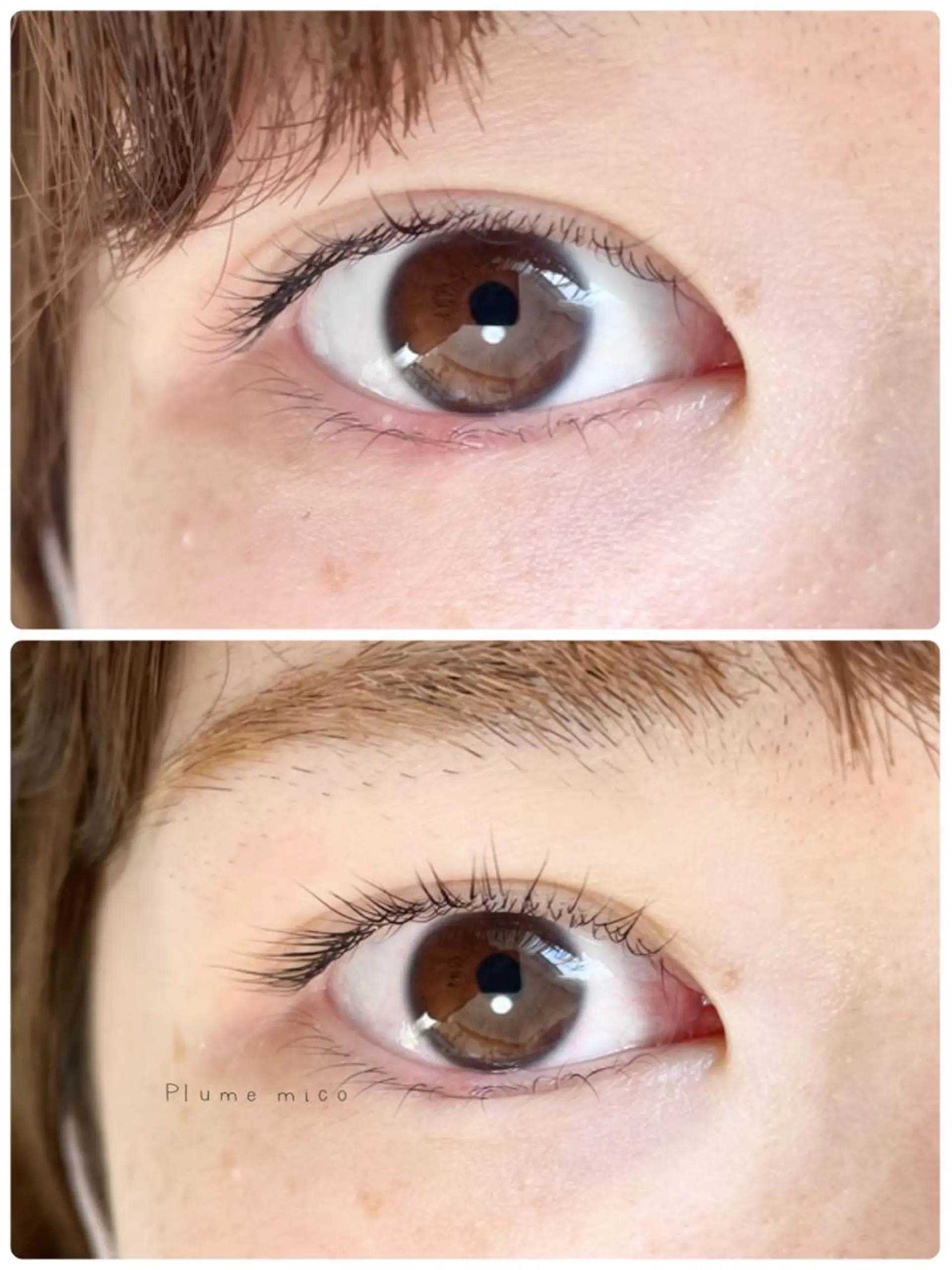 マツエク・マツパ マツパ Plume micoのマツエク・マツパデザイン