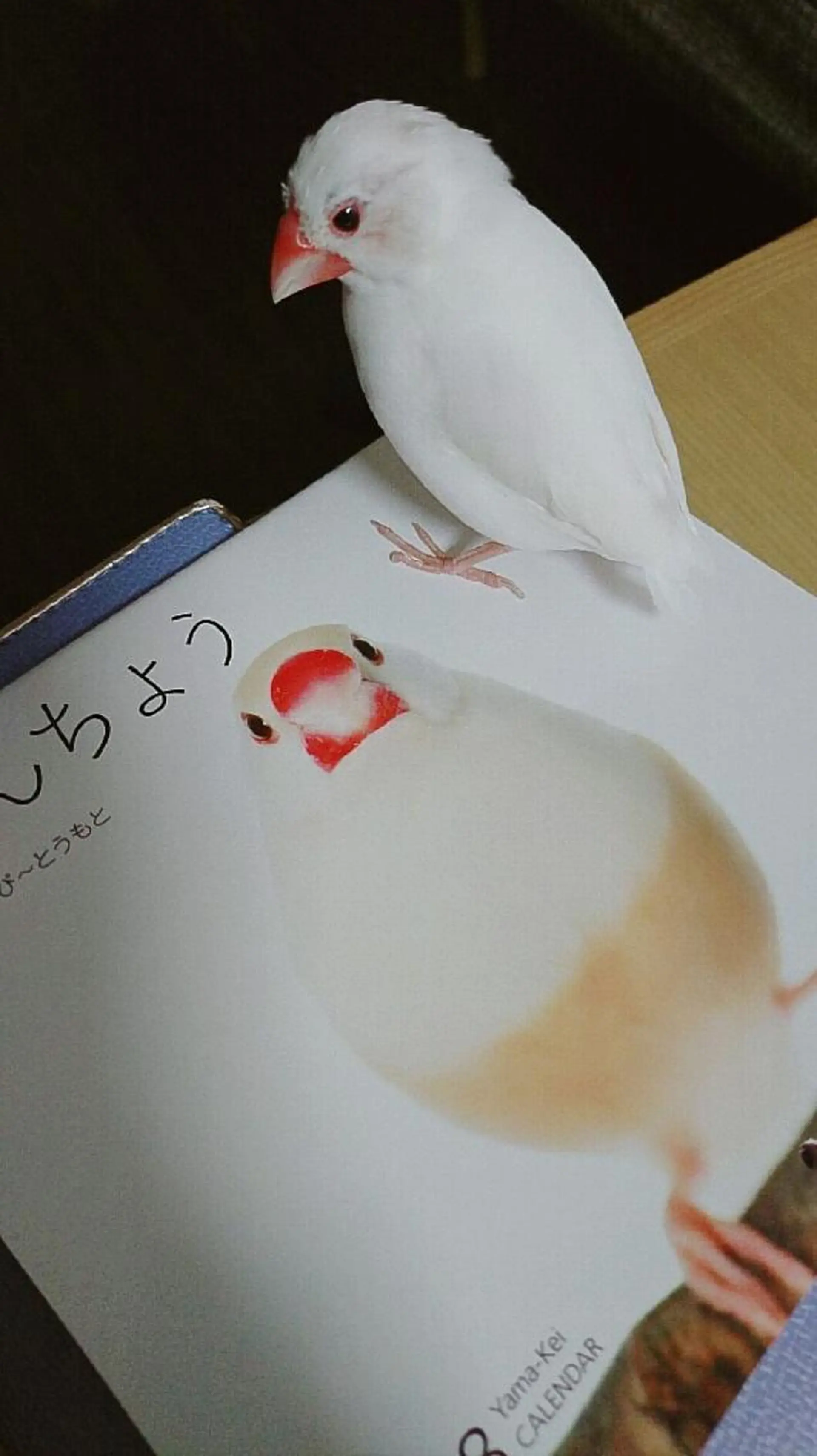 g*rossa高橋 くみこのエステ・リラクイメージ