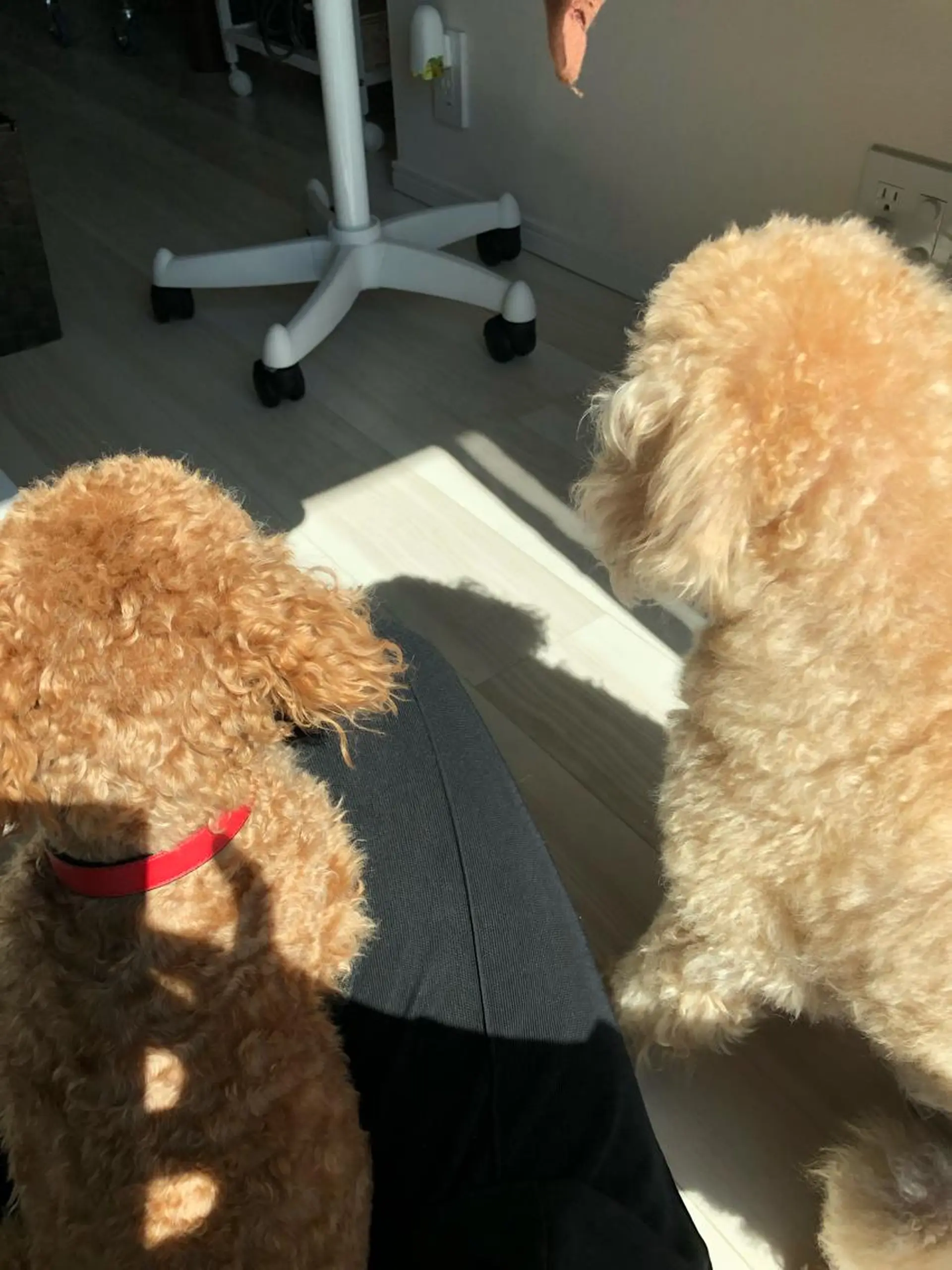 脱毛サロン RP（ルピ）のエステ・リラクイメージ