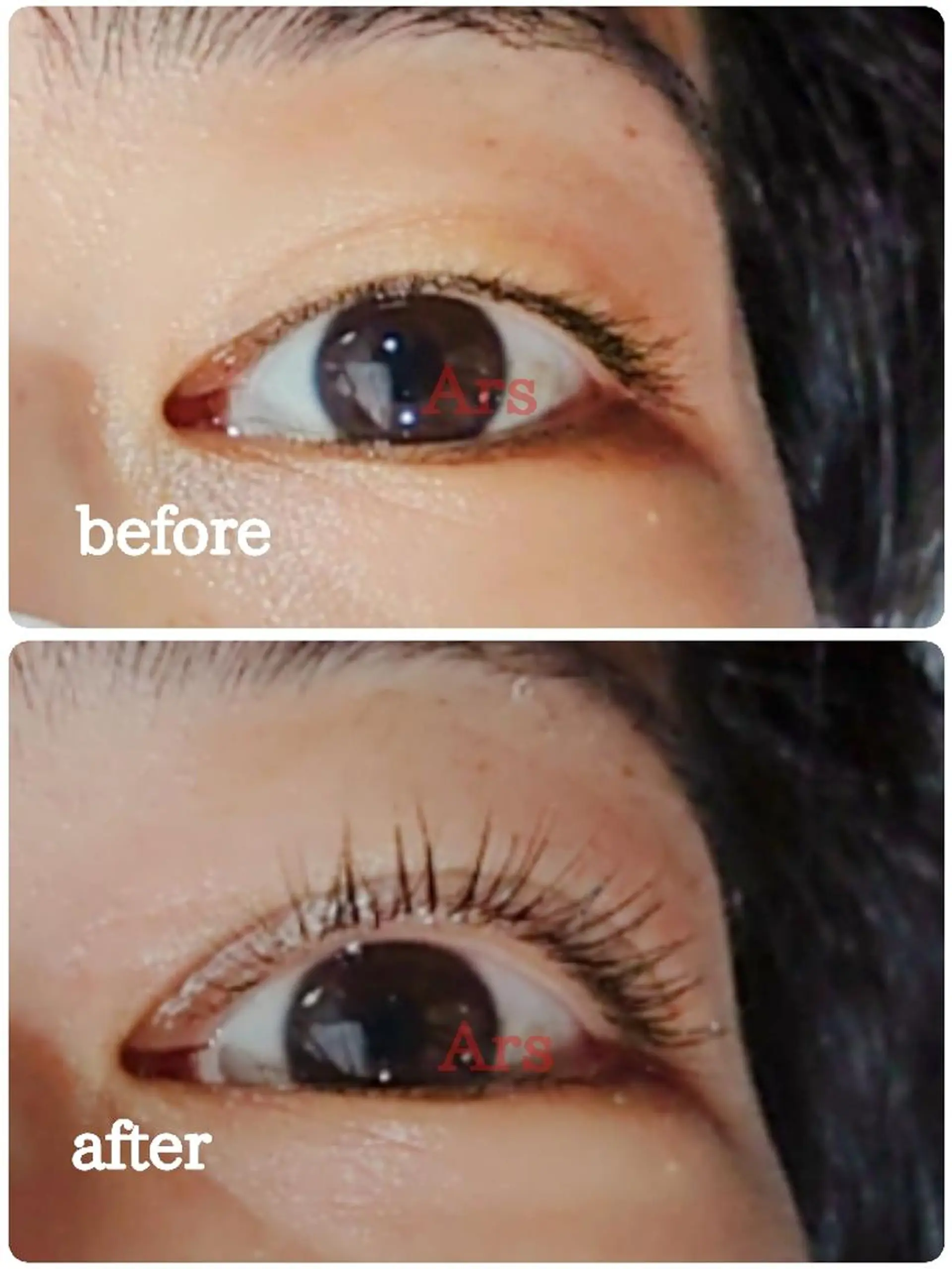 マツエク・マツパ アイリッドアップパーマ Ars  (ｱﾙｽ)所属・Ars      (ｱﾙｽ)のマツエク・マツパデザイン