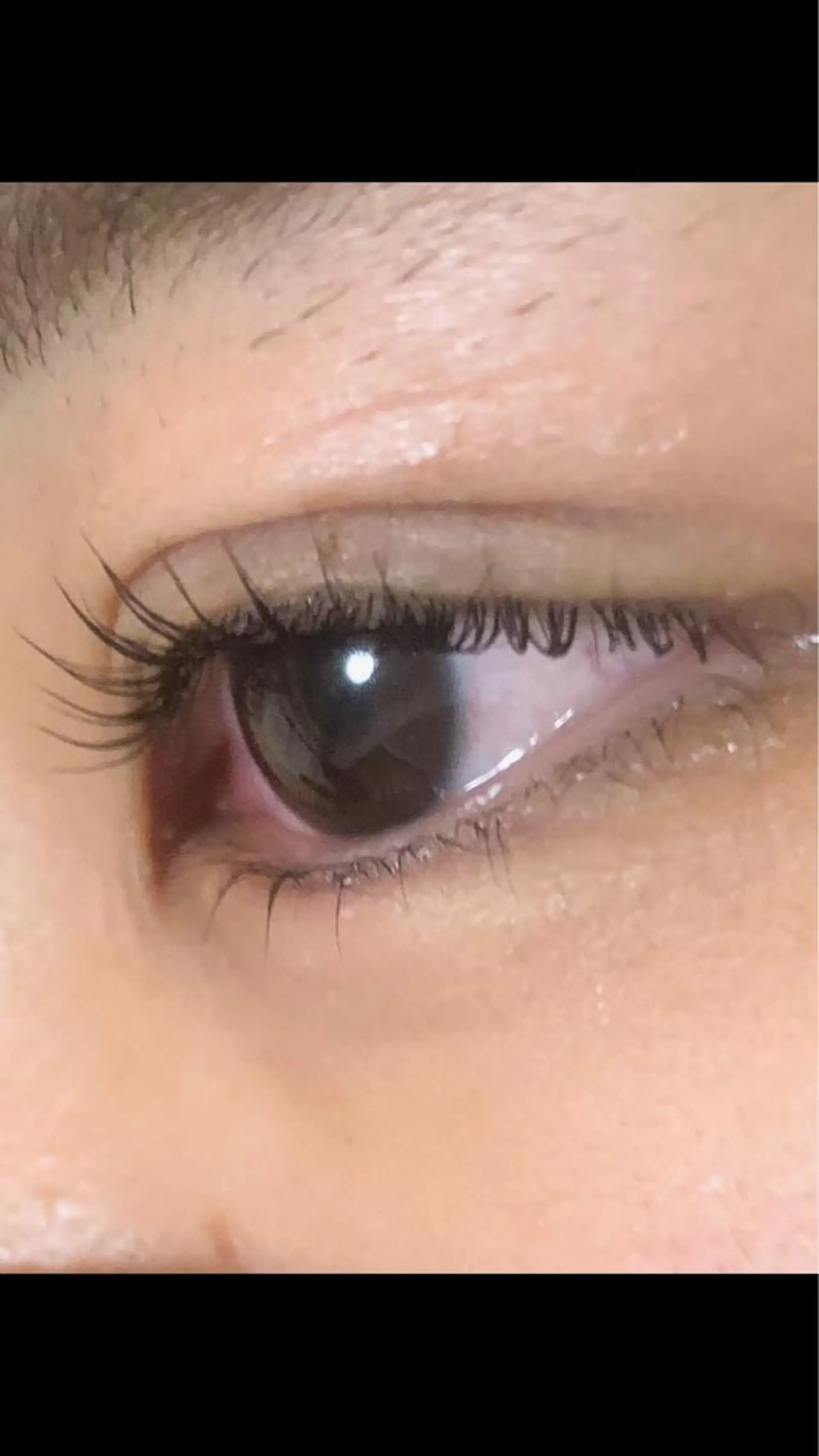 マツエク・マツパ 一重×まつ毛パーマ crown所属・crown 調布の眉毛・アイブロウイメージ