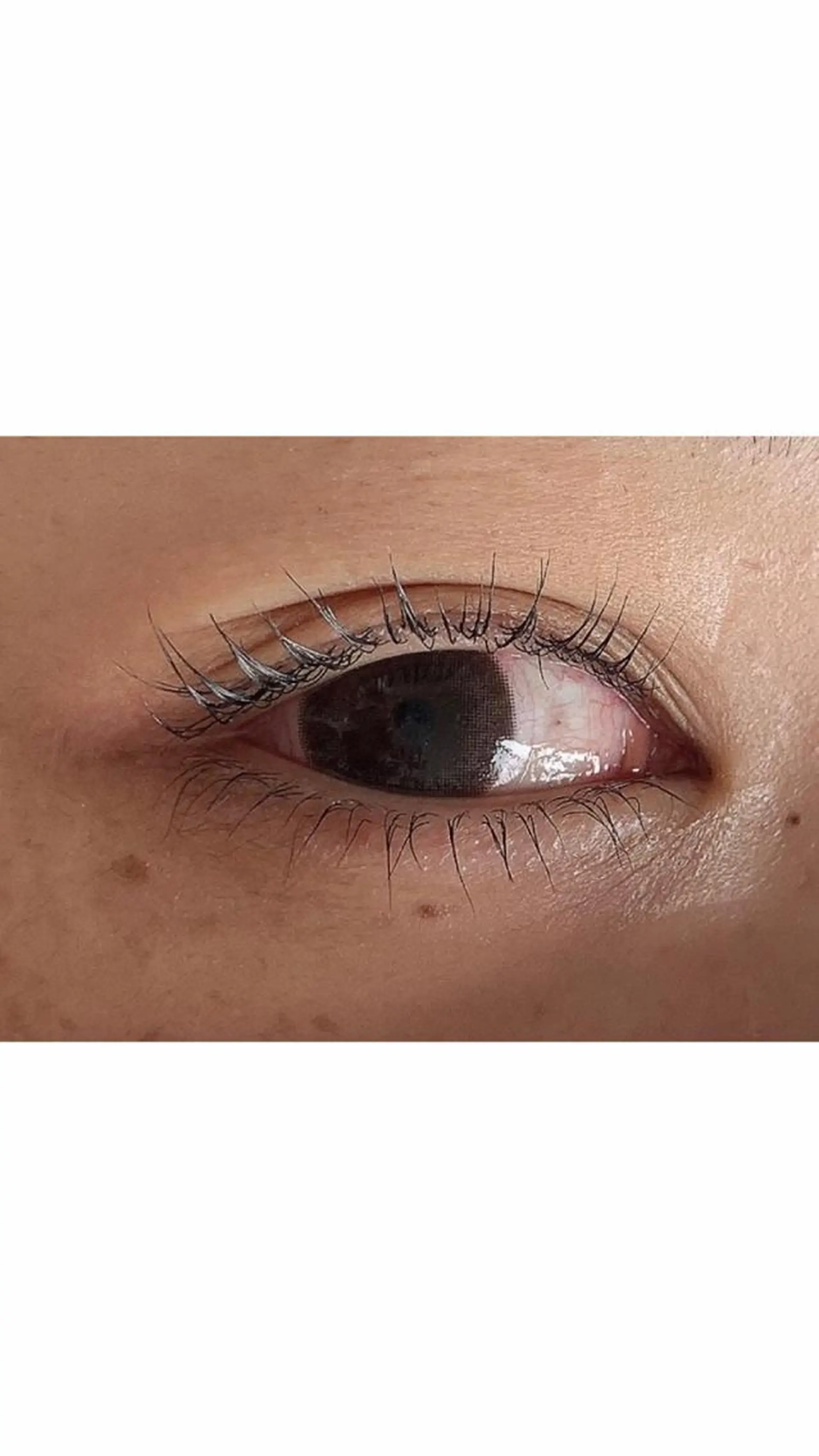 マツエク・マツパ パリジェンヌラッシュリフト ♡tiana juna˖ ࣪⊹のマツエク・マツパデザイン