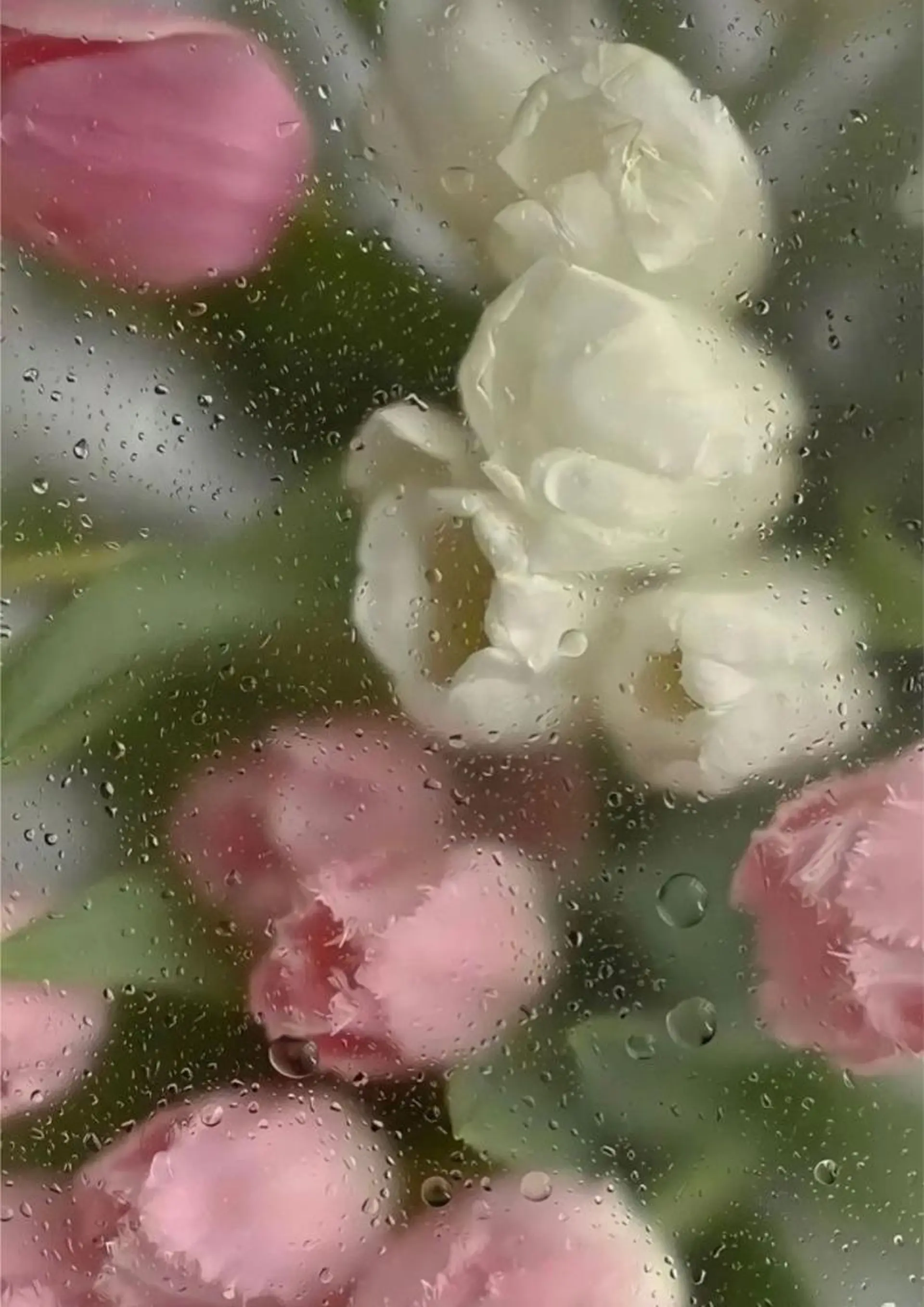 Bless hair &spa所属・🫧縮毛矯正／カラー ／bless松浦🫧のヘアスタイル