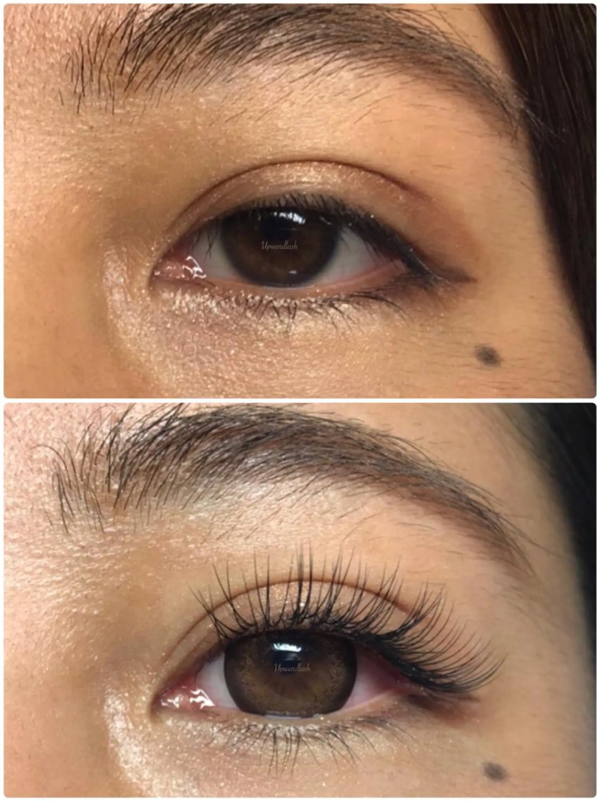 マツエク・マツパ アップワードラッシュ マツエク リネル 新宿西口のマツエク・マツパデザイン