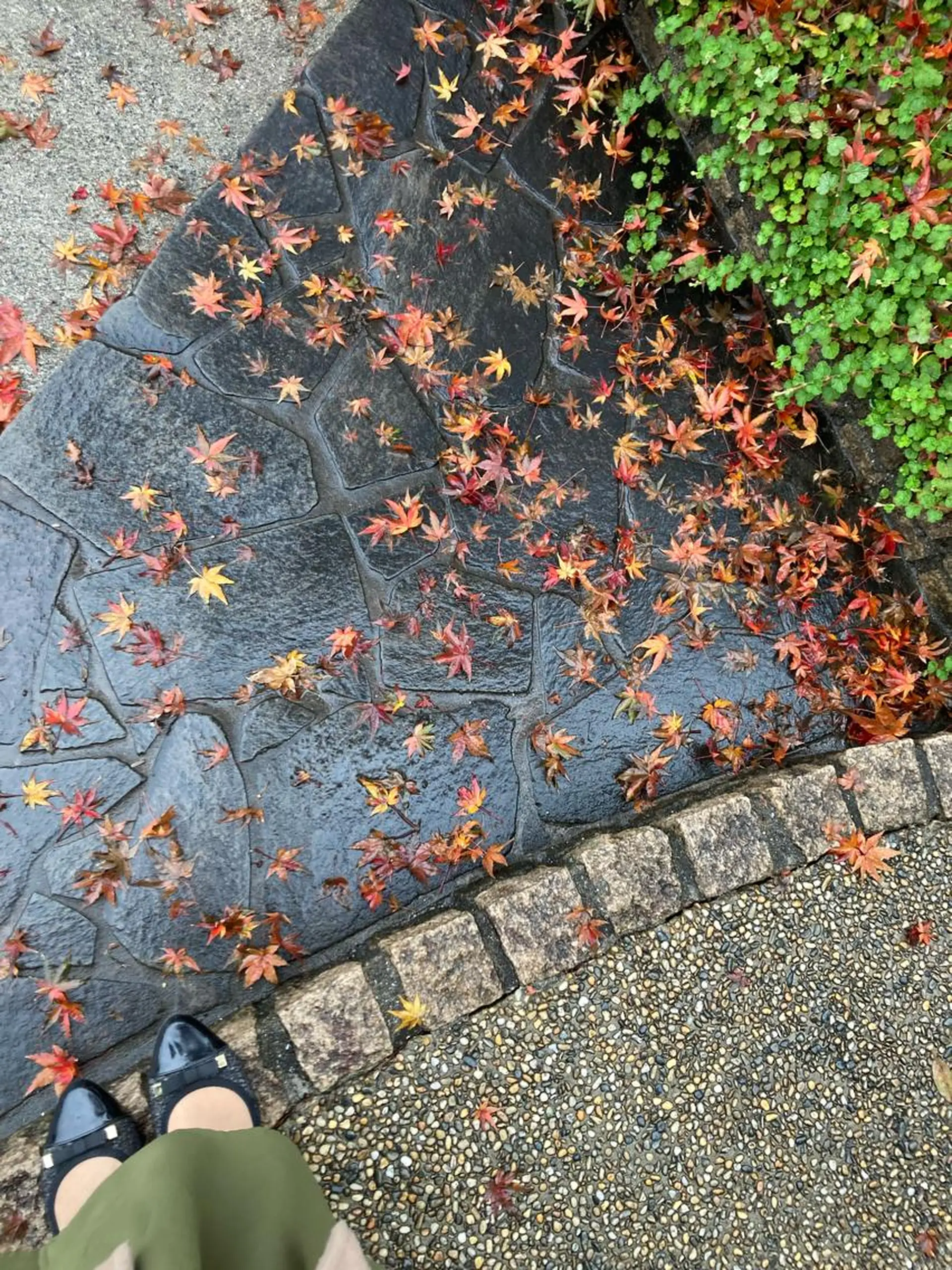 フェイシャルサロン ビアンカガーデンのエステ・リラクイメージ