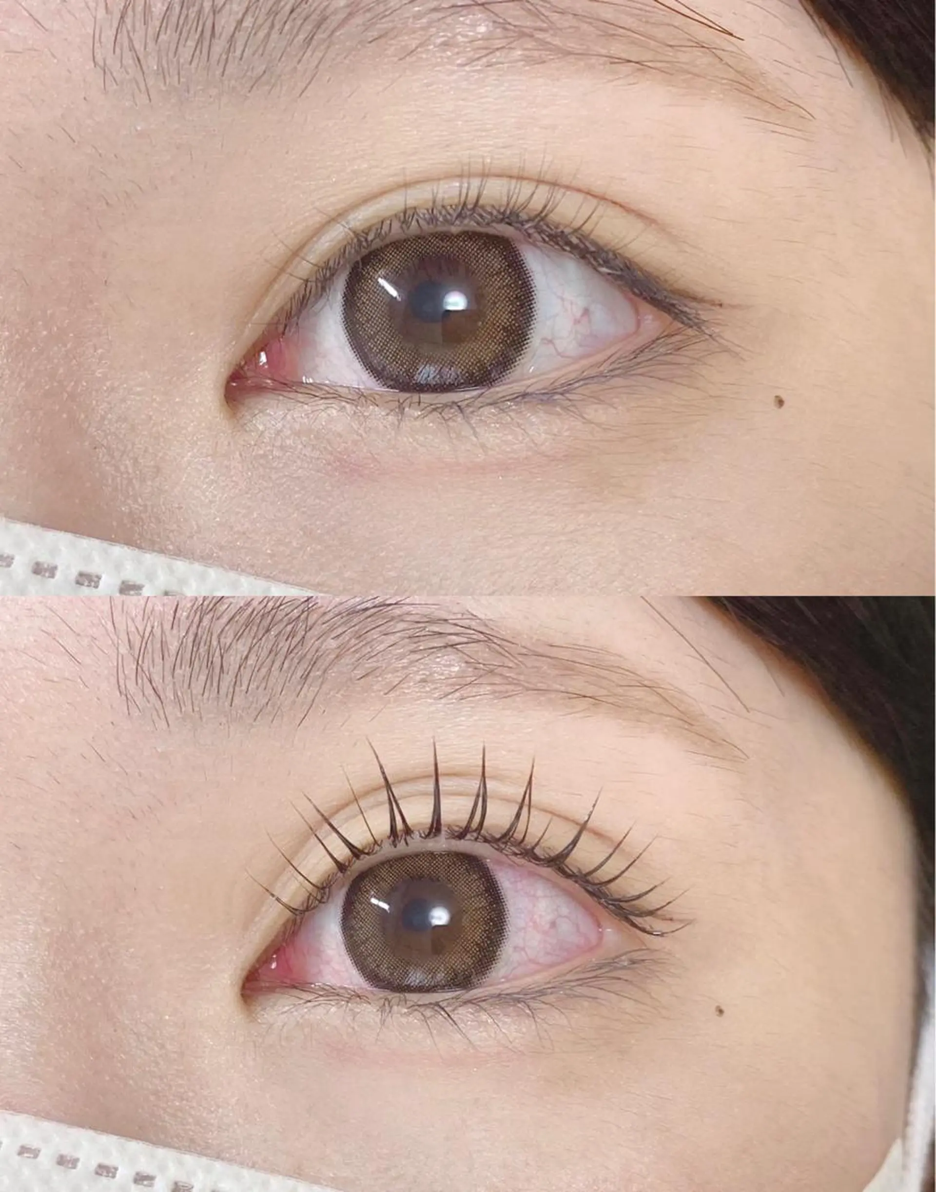 マツエク・マツパ 【那覇/束感まつ毛】 キャメルのマツエク・マツパデザイン