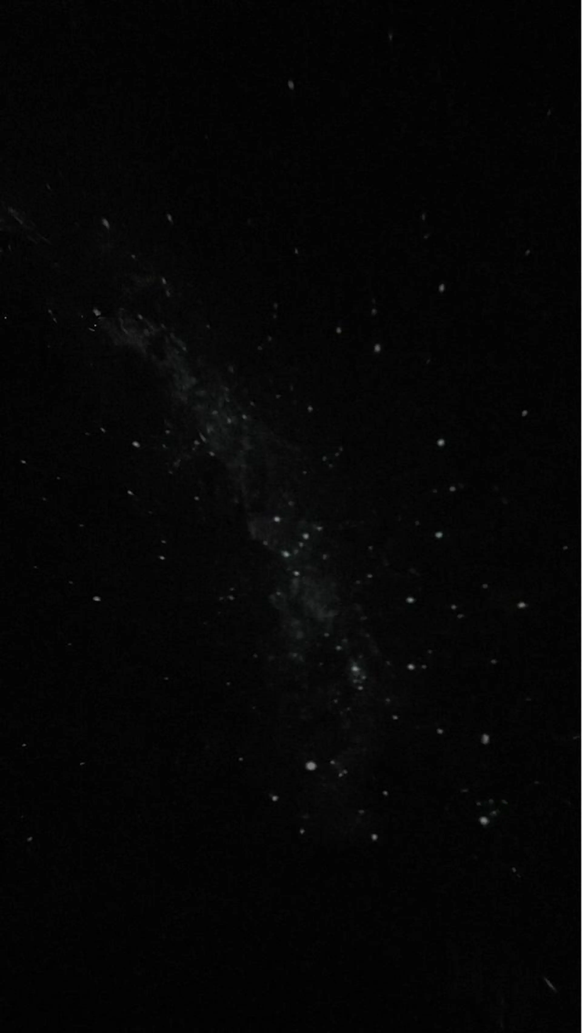 エステ リラク 佐藤 加奈のエステ・リラクイメージ