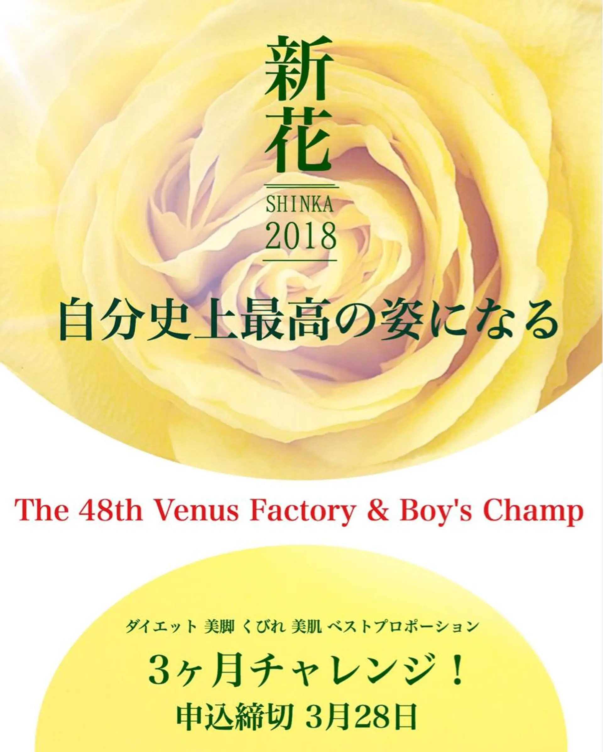 プログレス所属・秋山 香織のエステ・リラクイメージ