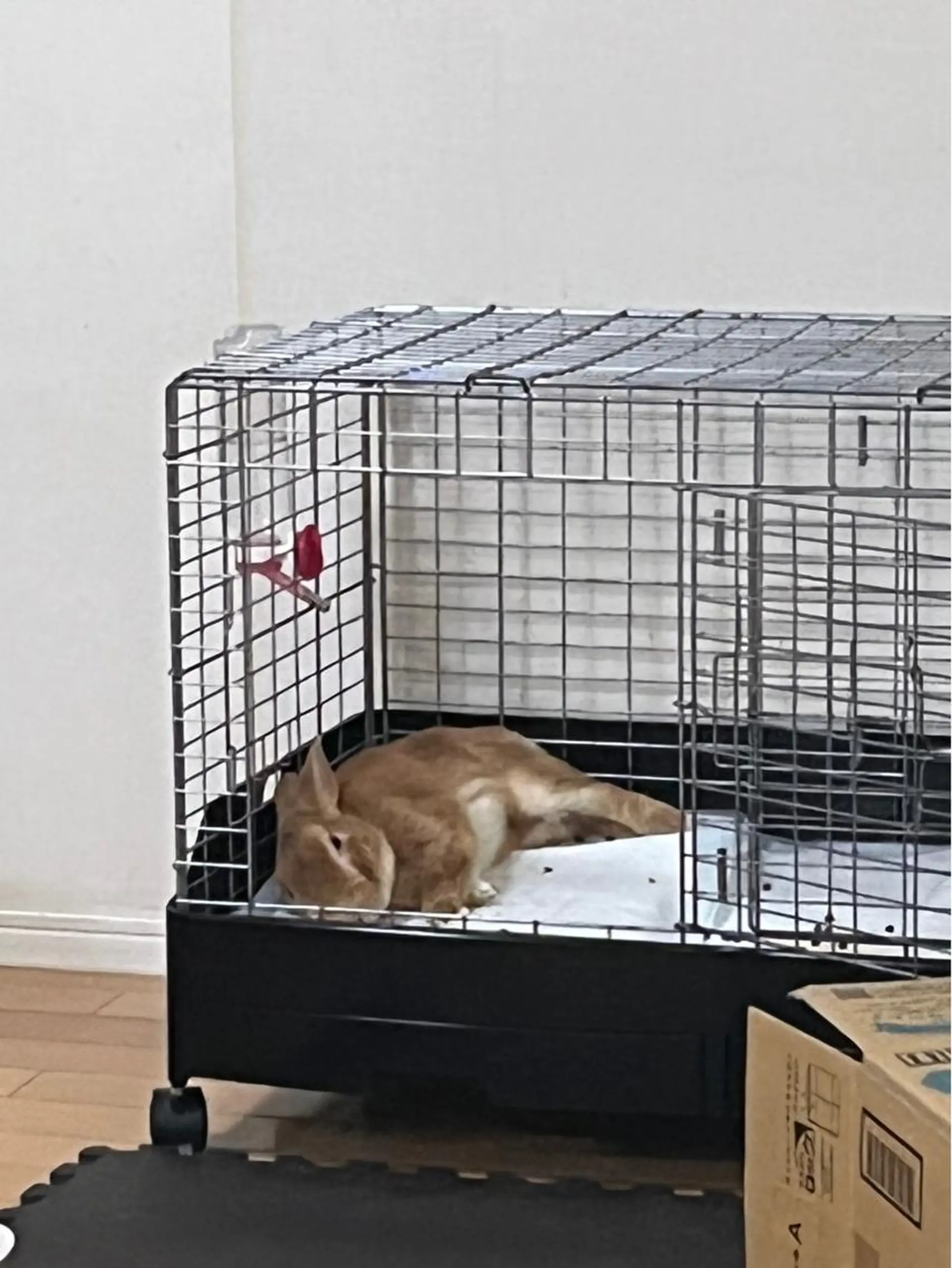 Sona hair & eyelash salon所属・紙屋 隼人のヘアスタイル