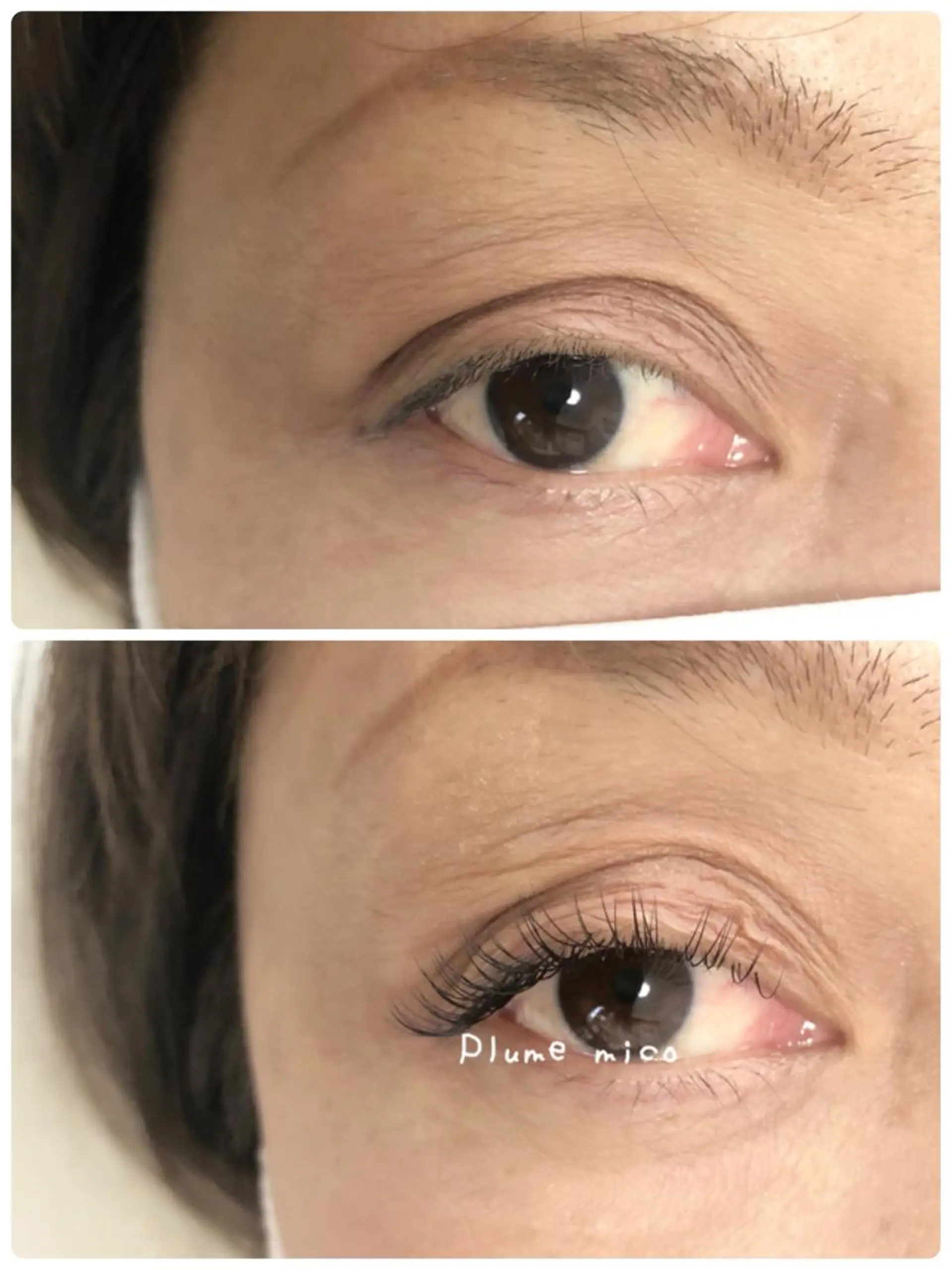 マツエク・マツパ マツエク Plume micoのマツエク・マツパデザイン