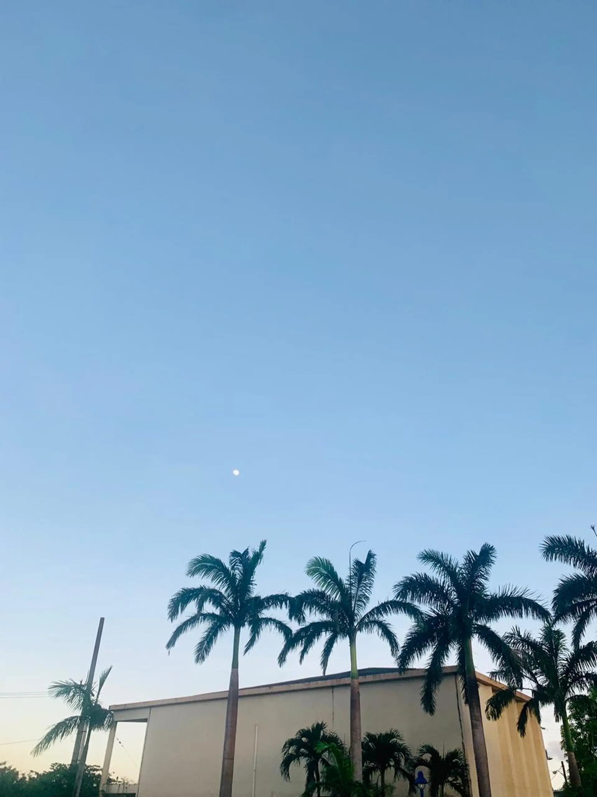 𝐘𝐎𝐒𝐇𝐈 𝐌𝐈🌞🏝のマツエク・マツパデザイン