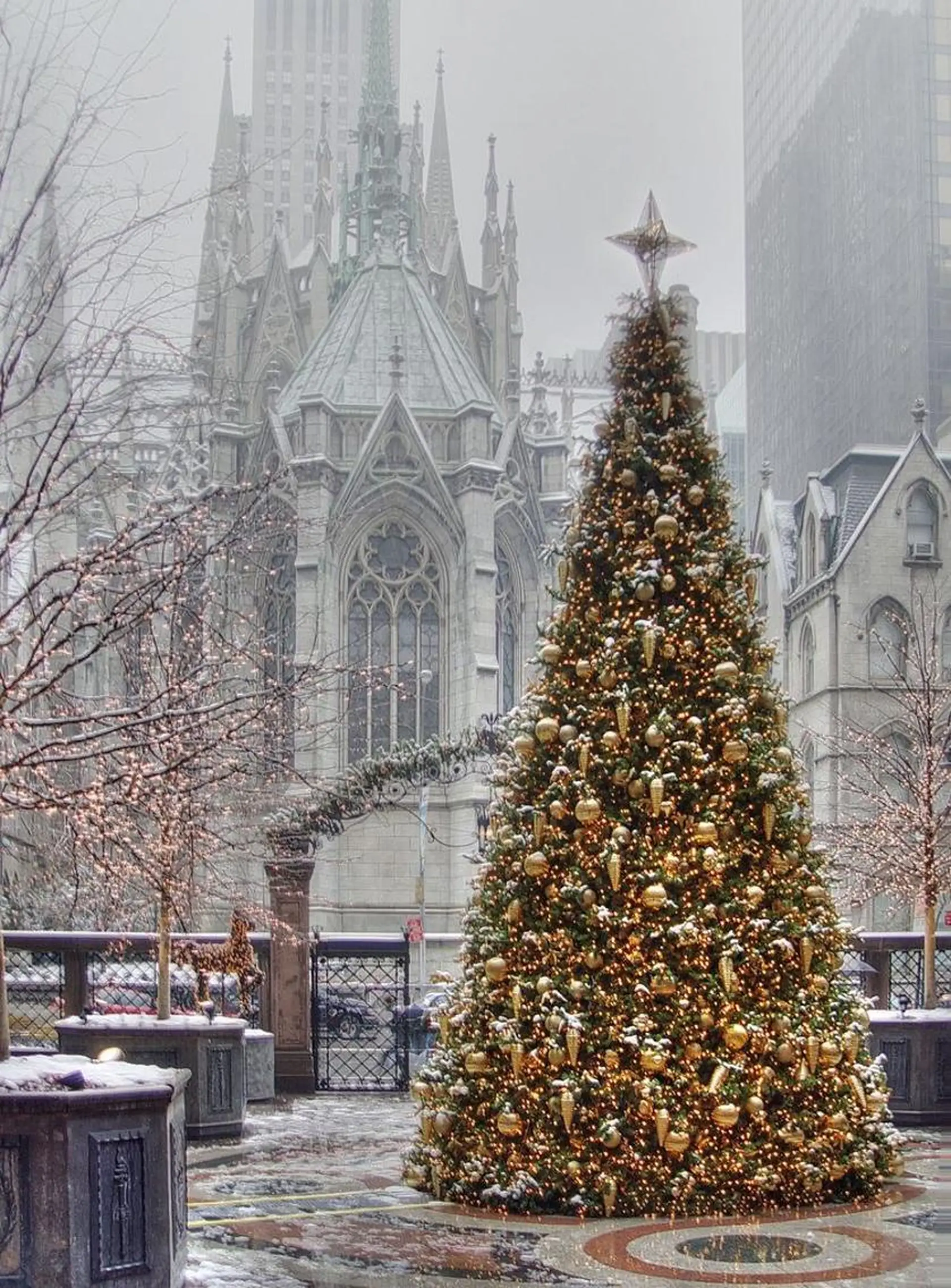 ミディアム カラー パーマ ヘアアレンジ メンズ キッズ ネイル マツエク・マツパ アイブロウ 触れたくなる モテ肌へ...❤︎のエステ・リラクイメージ
