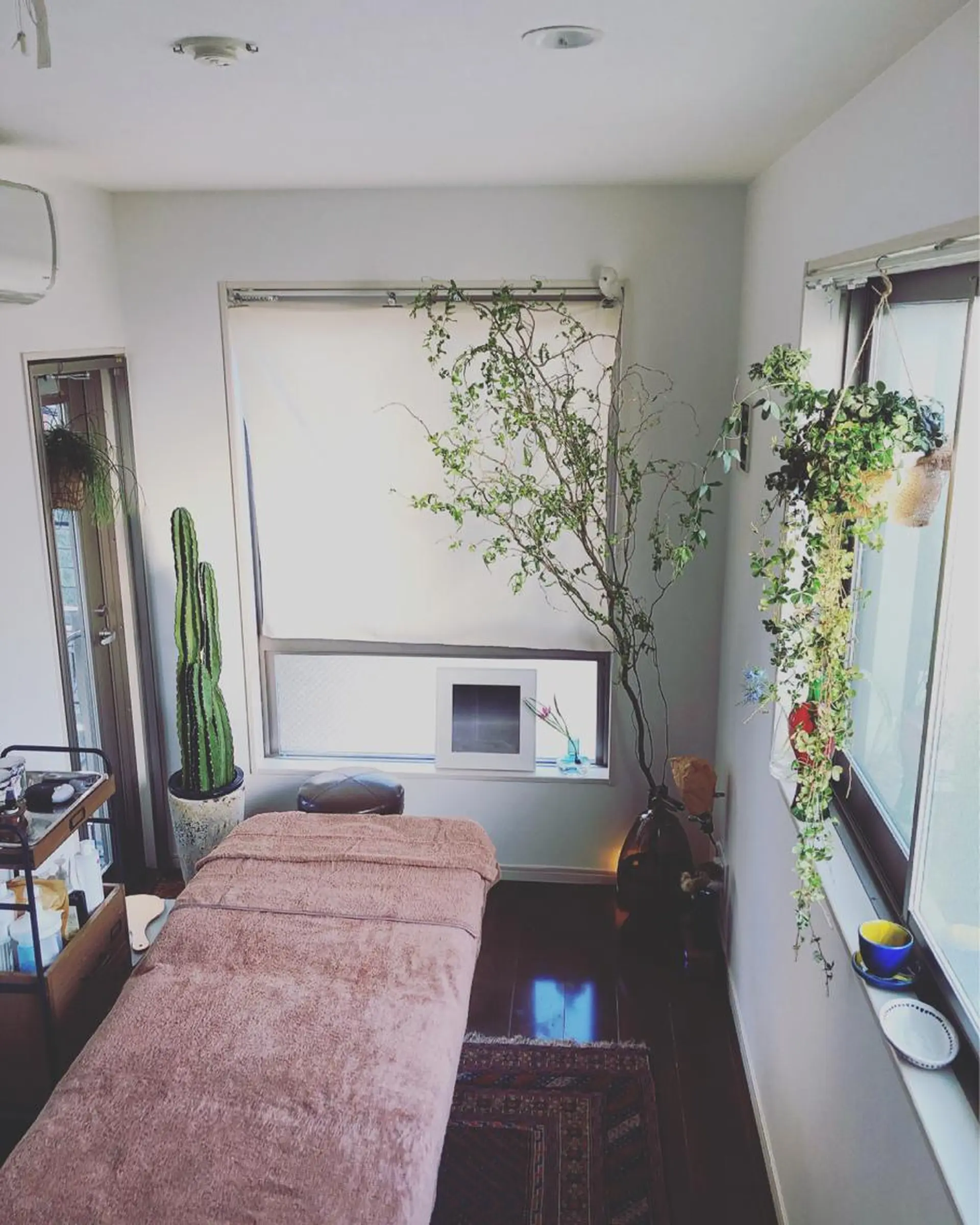 basico  のエステ・リラクイメージ