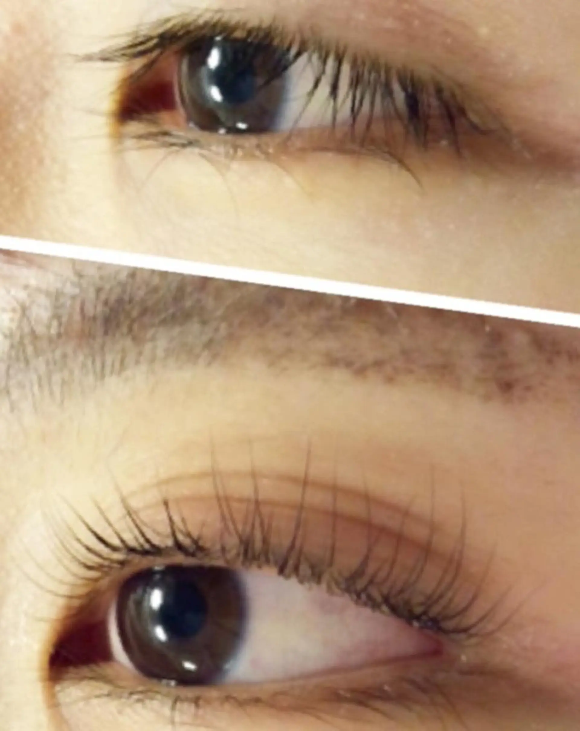 マツエク・マツパ パリジェンヌラッシュリフト ジュニア　アイリスト ネイリストの眉毛・アイブロウイメージ