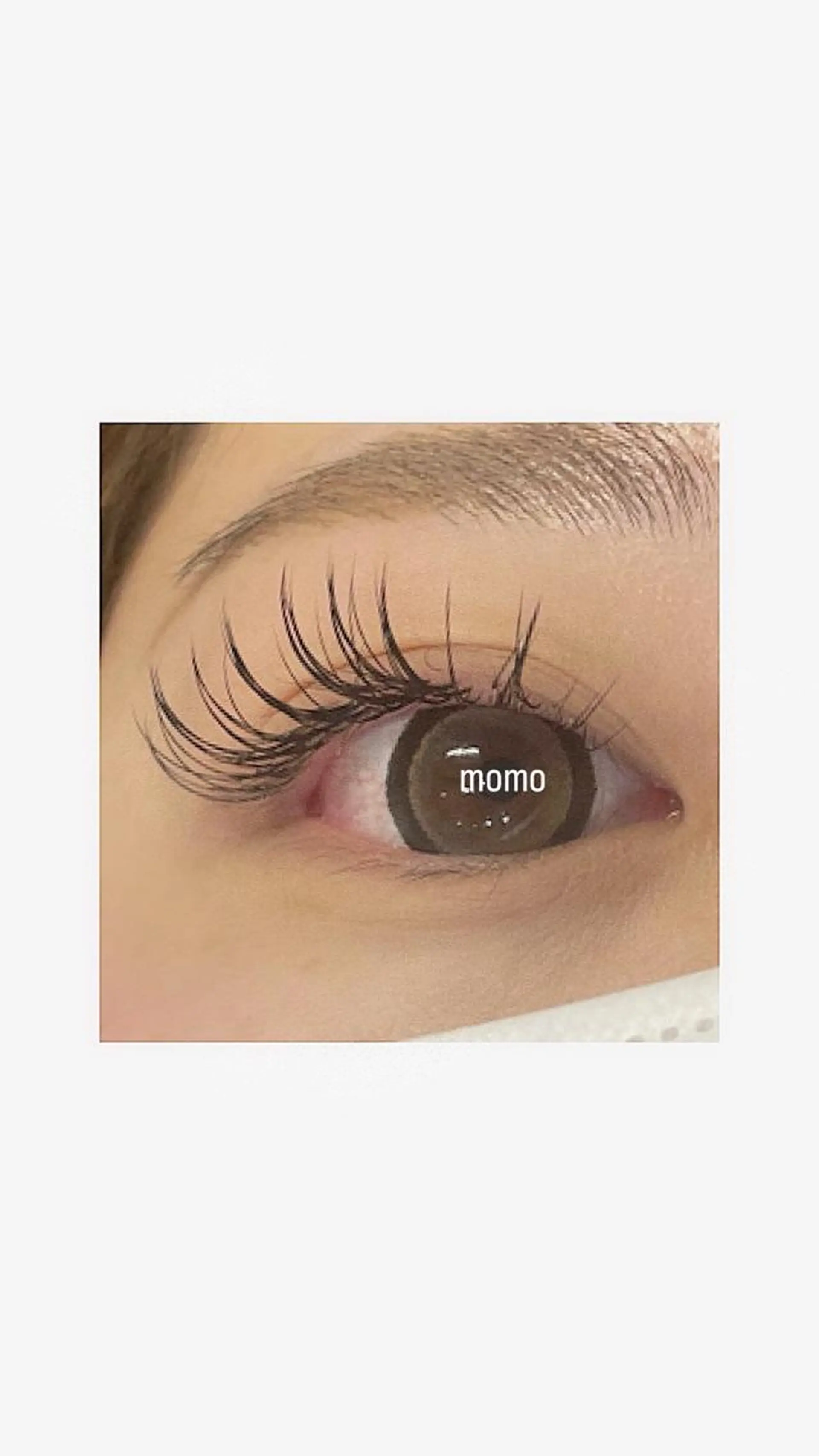 マツエク・マツパ フラットラッシュ 🕊ツメイク船橋店 Momoka🌿のマツエク・マツパデザイン