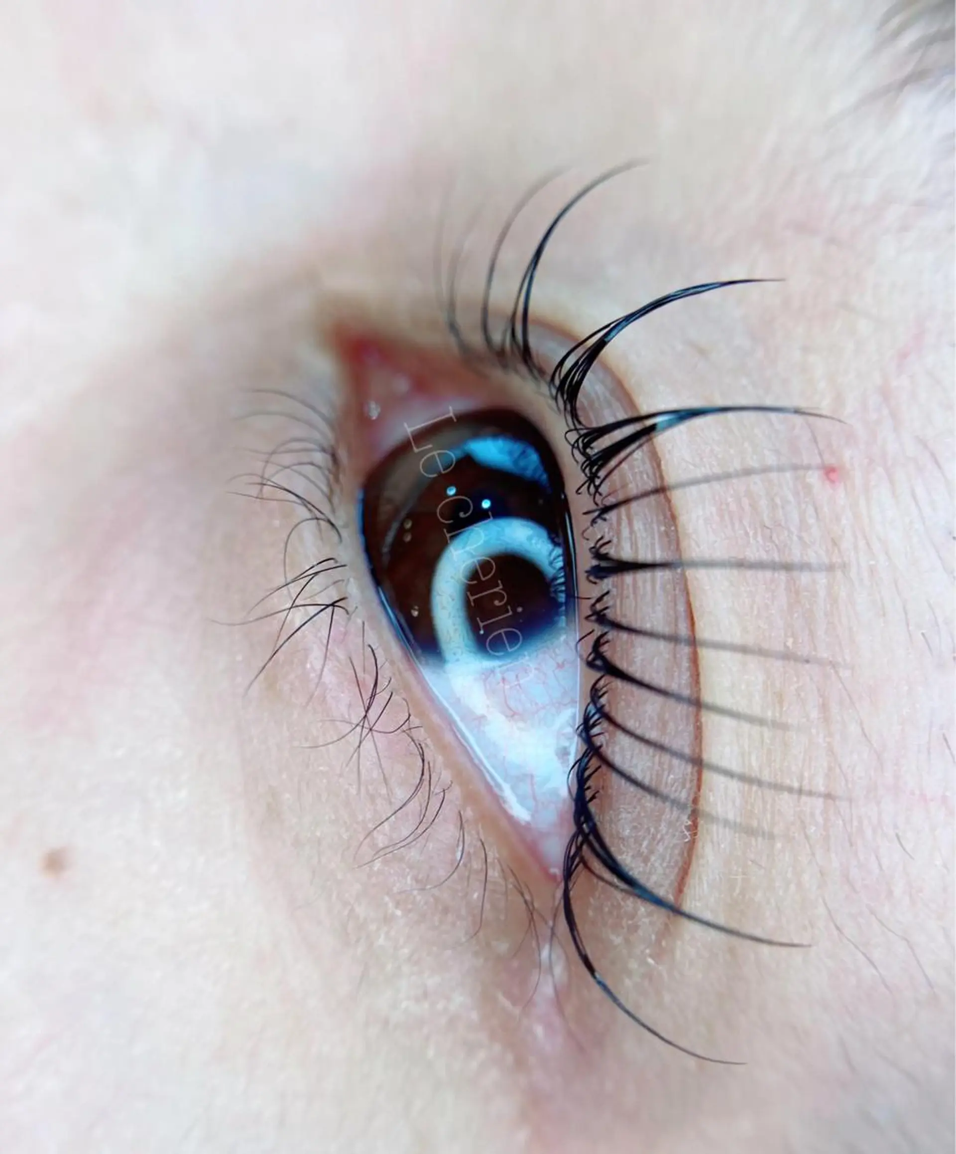 マツエク・マツパ マツパ Lecherien所属・Lecherien ルシェリアのマツエク・マツパデザイン