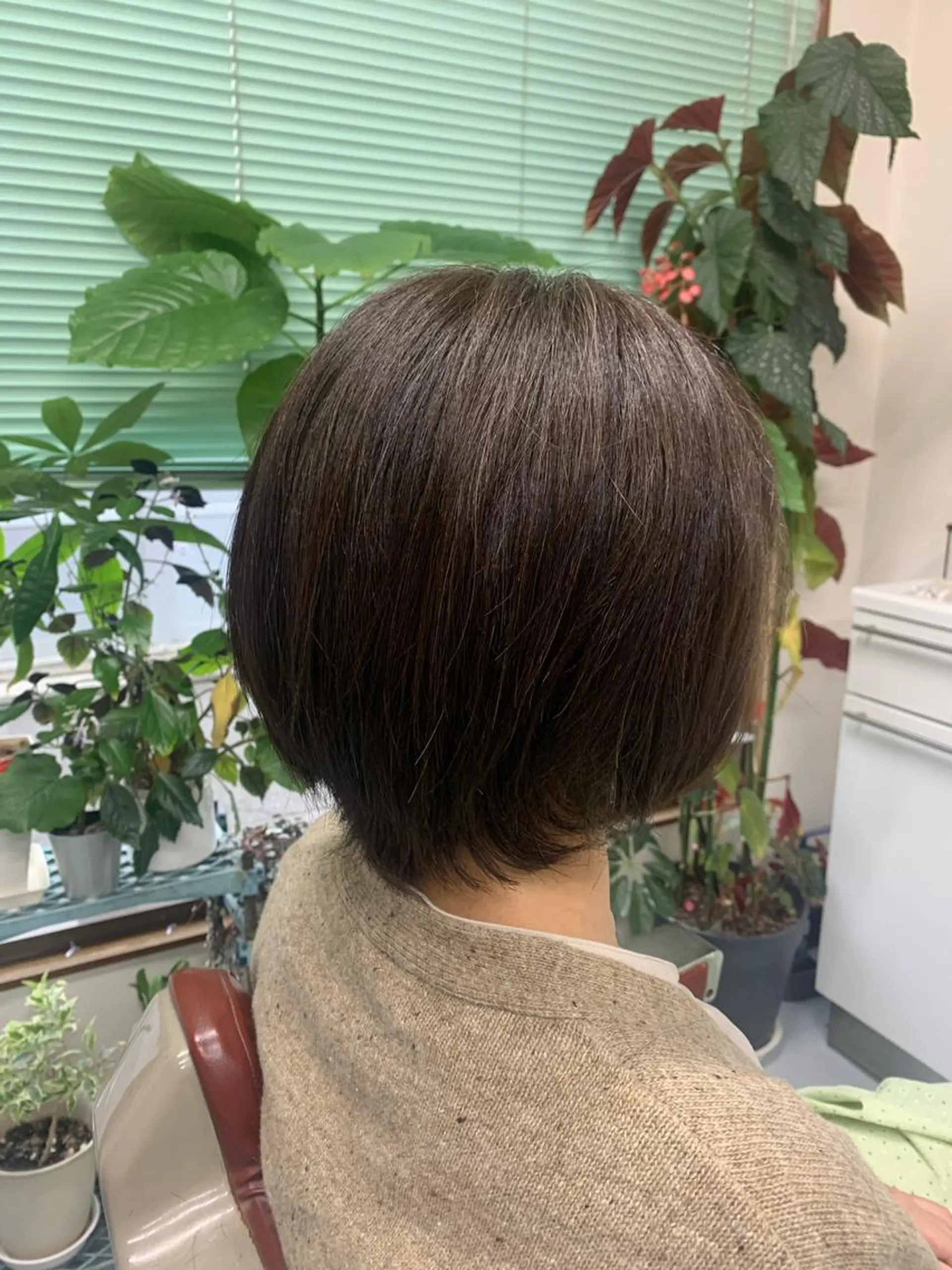 ショート カラー カット ヘアカラー トリートメント ストウ ナナエのヘアスタイル