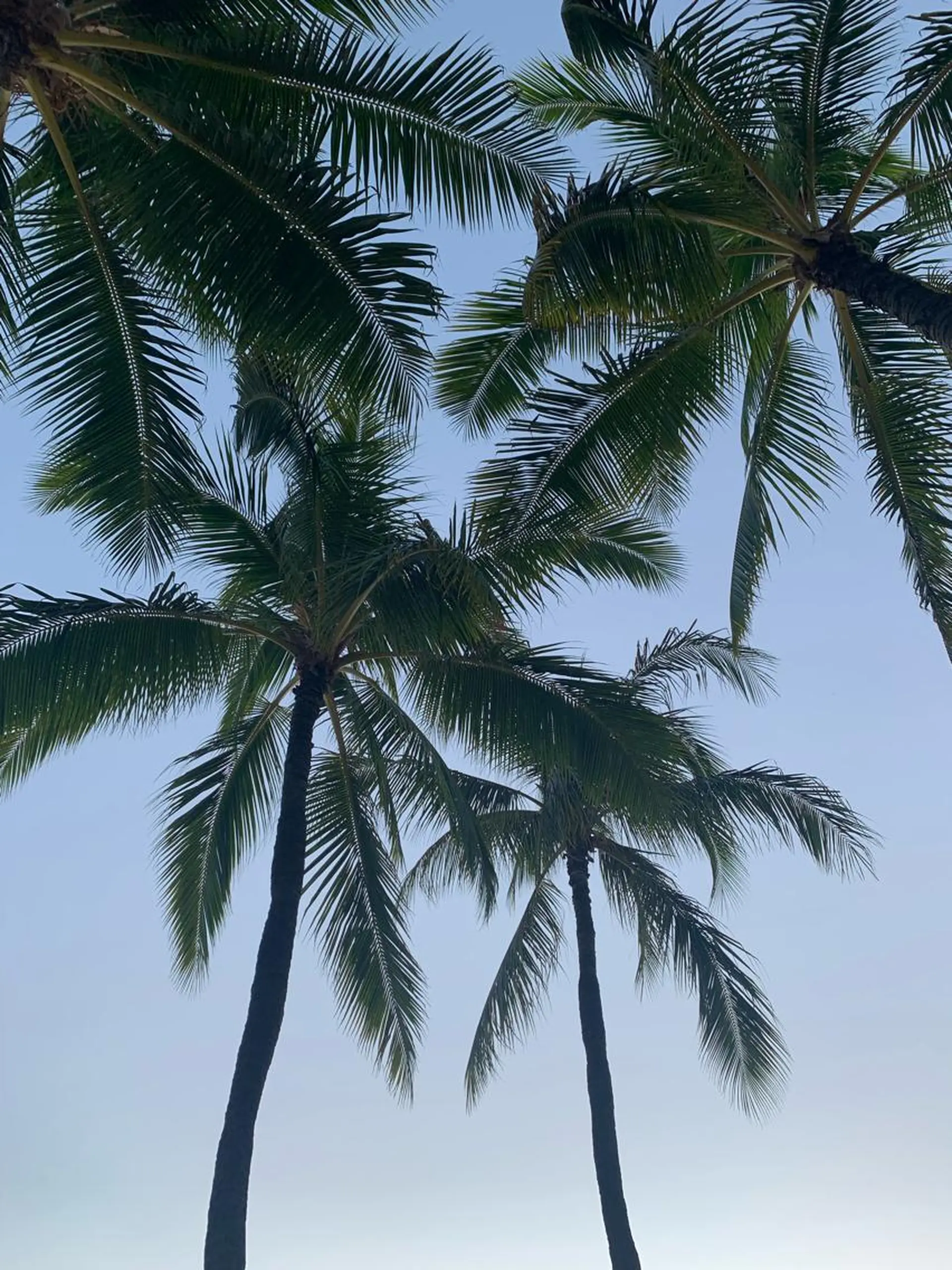 𝐘𝐎𝐒𝐇𝐈 𝐌𝐈🌞🏝のマツエク・マツパデザイン