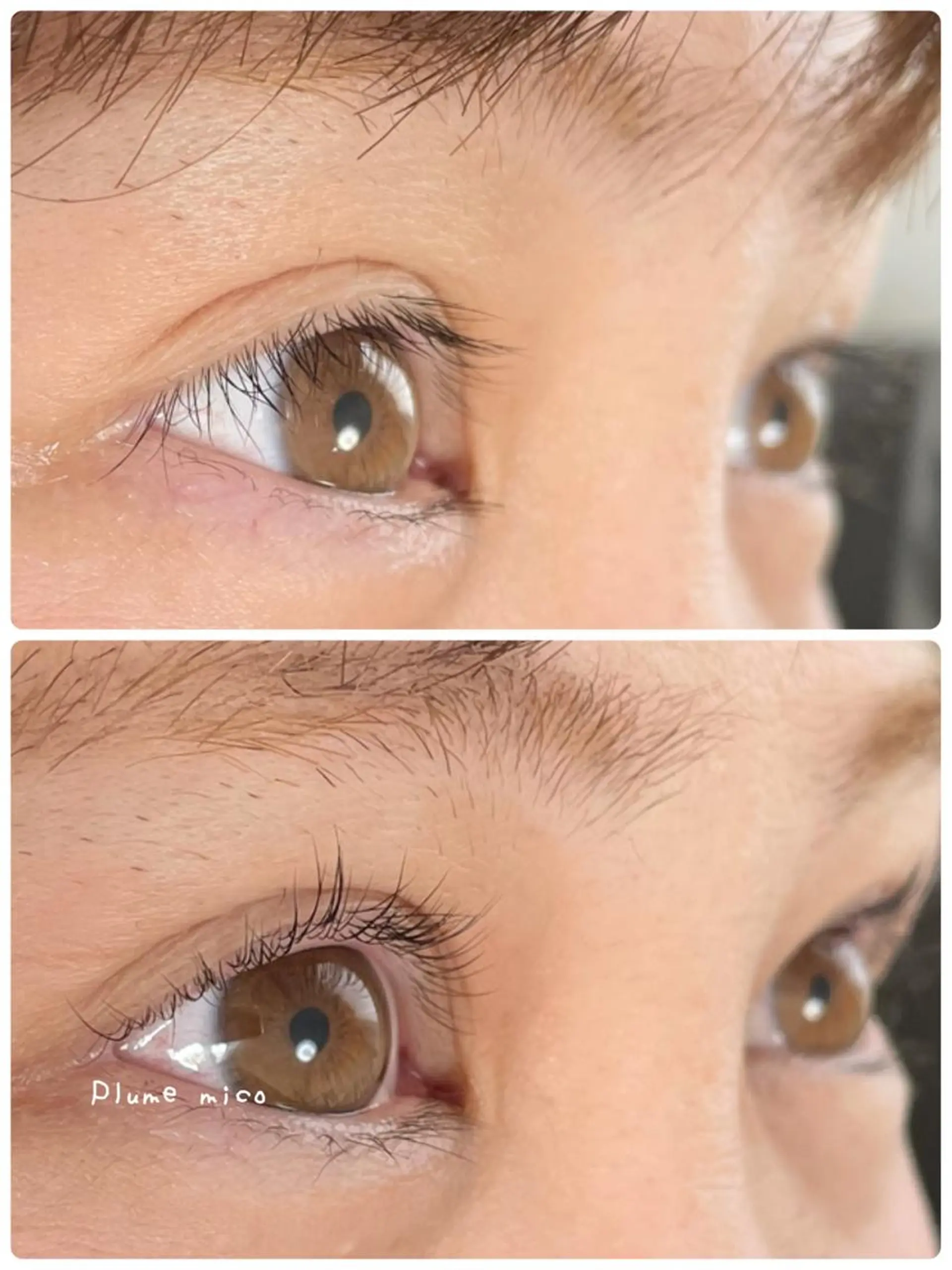 マツエク・マツパ マツパ Plume micoのマツエク・マツパデザイン