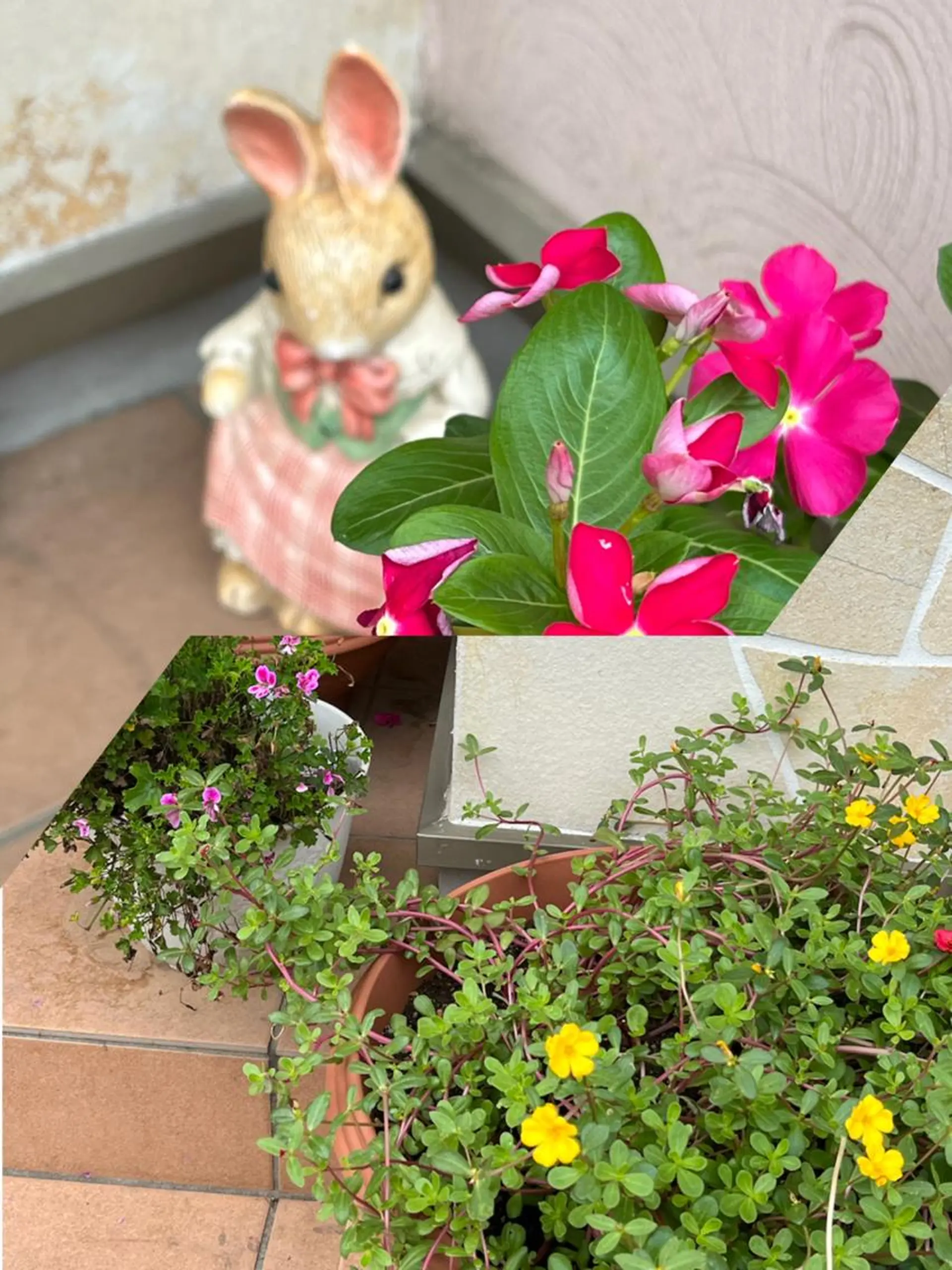 うえつま ふみえのエステ・リラクイメージ