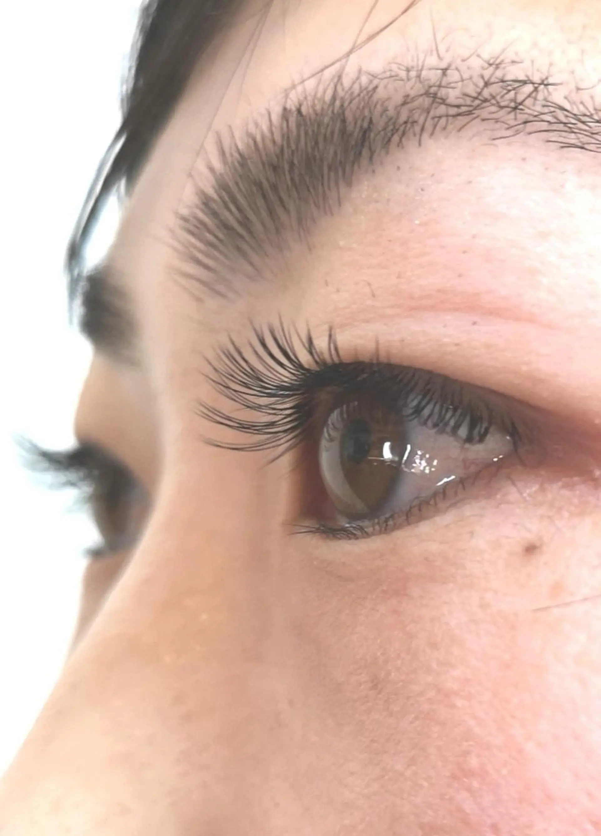 マツエク・マツパ フラットラッシュ Jカール マツエク Camel 🐫のマツエク・マツパデザイン