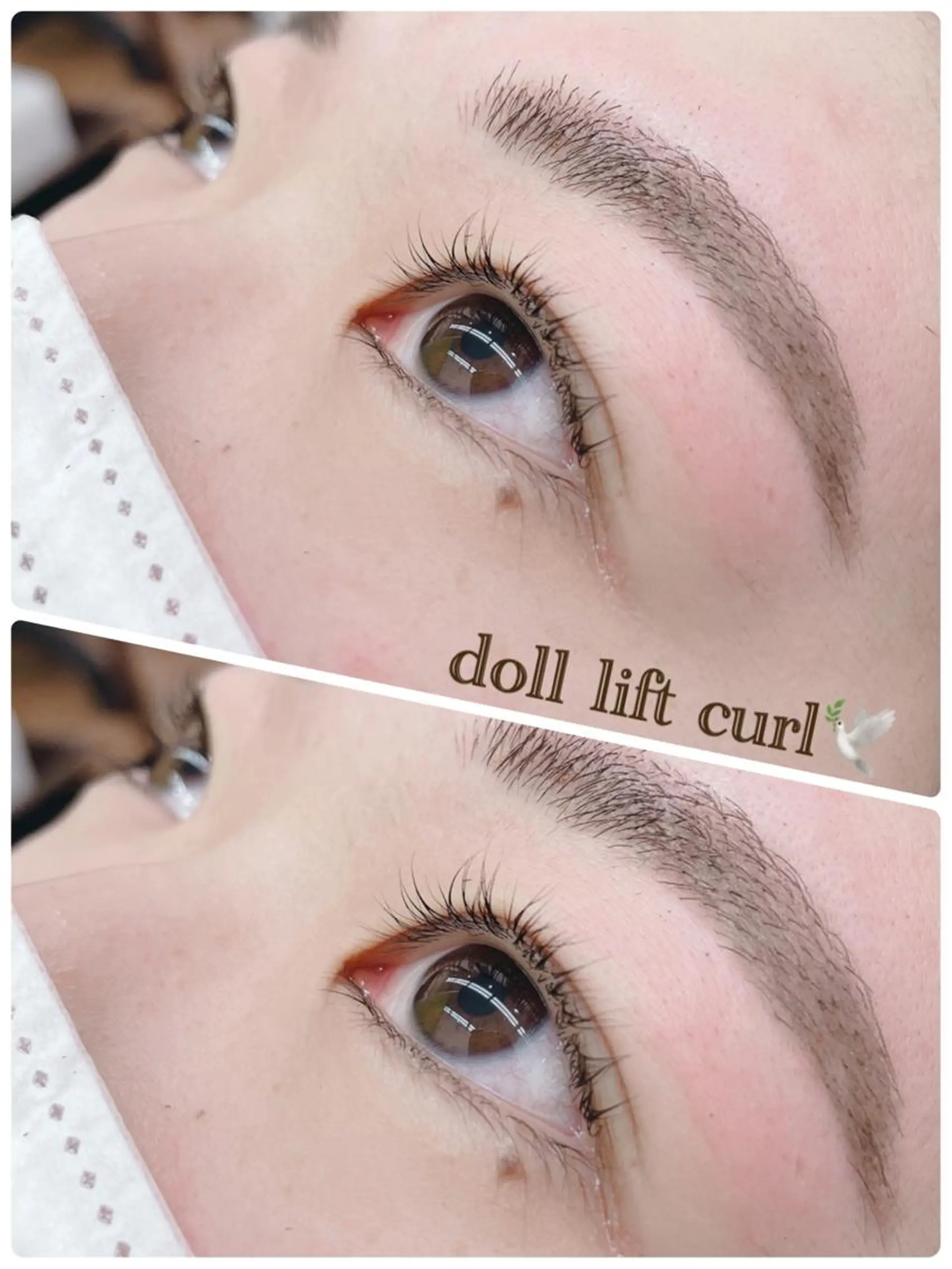 マツエク・マツパ Cカール WE RULE 札幌店 【ウィールール 札幌店】所属・✨️大人ショート 髙橋朋花のヘアスタイル