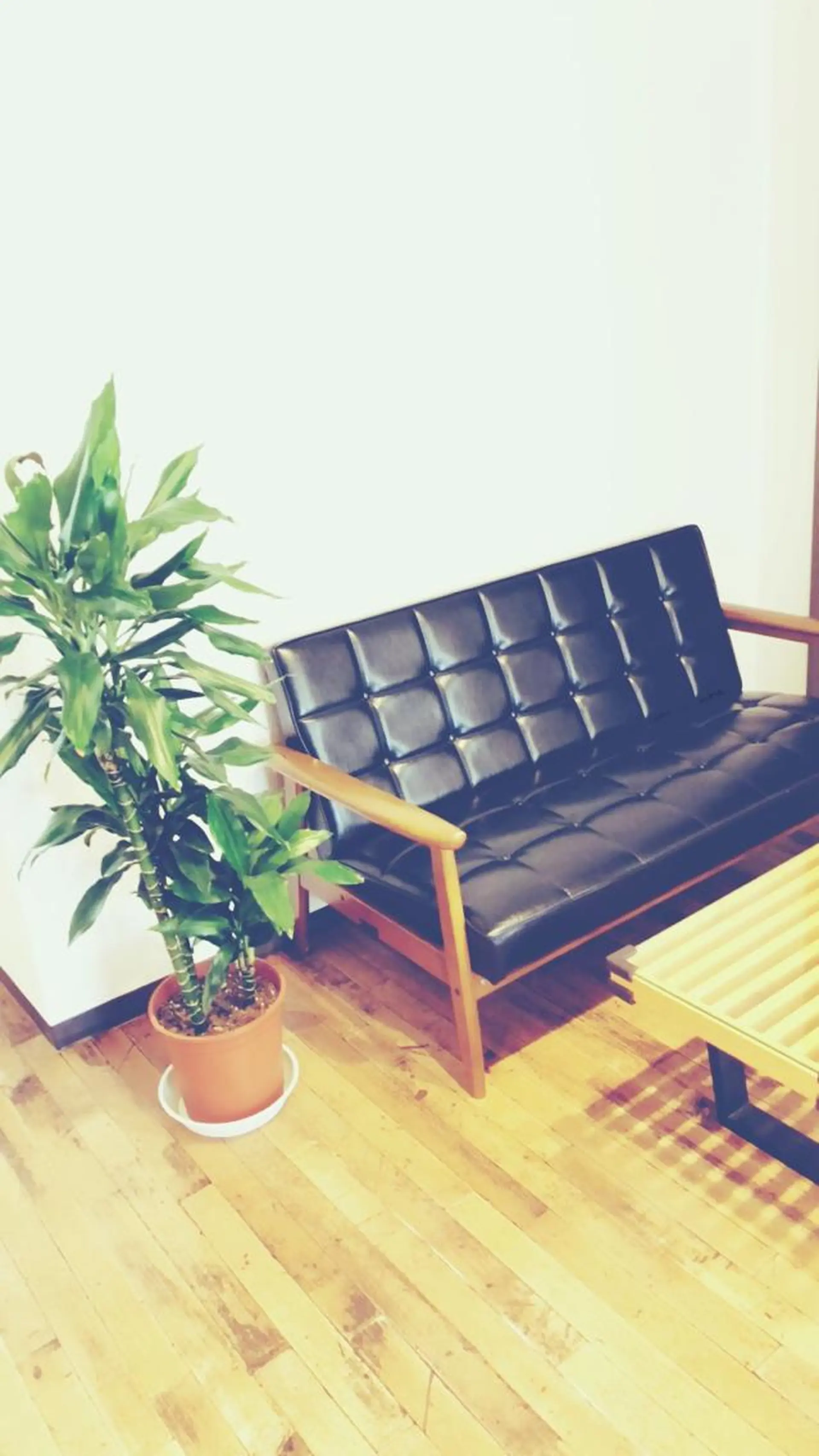 からだサロSUNNY 堺東鍼灸整骨院のエステ・リラクイメージ