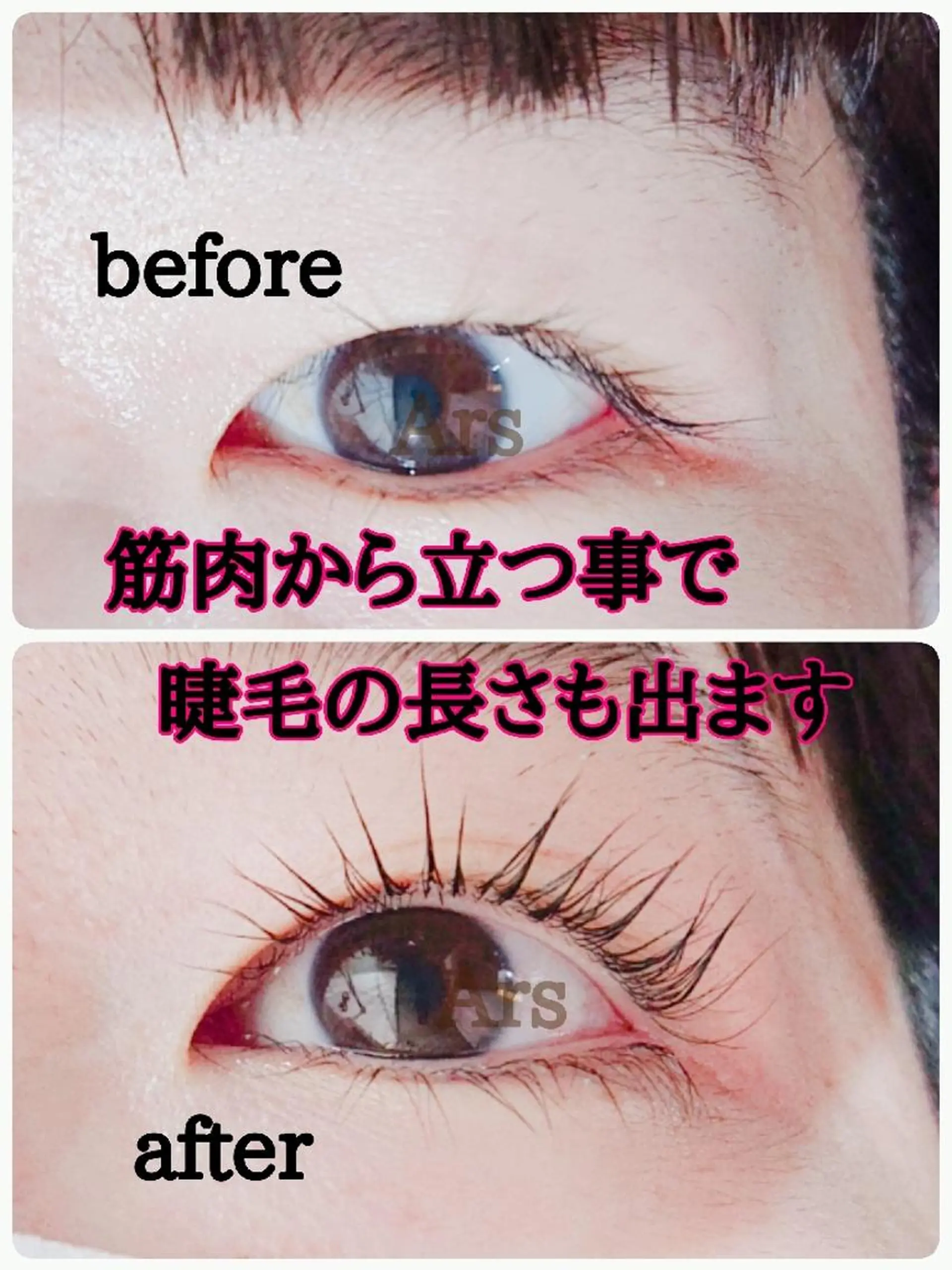 マツエク・マツパ アイリッドアップパーマ Ars  (ｱﾙｽ)所属・Ars      (ｱﾙｽ)のマツエク・マツパデザイン