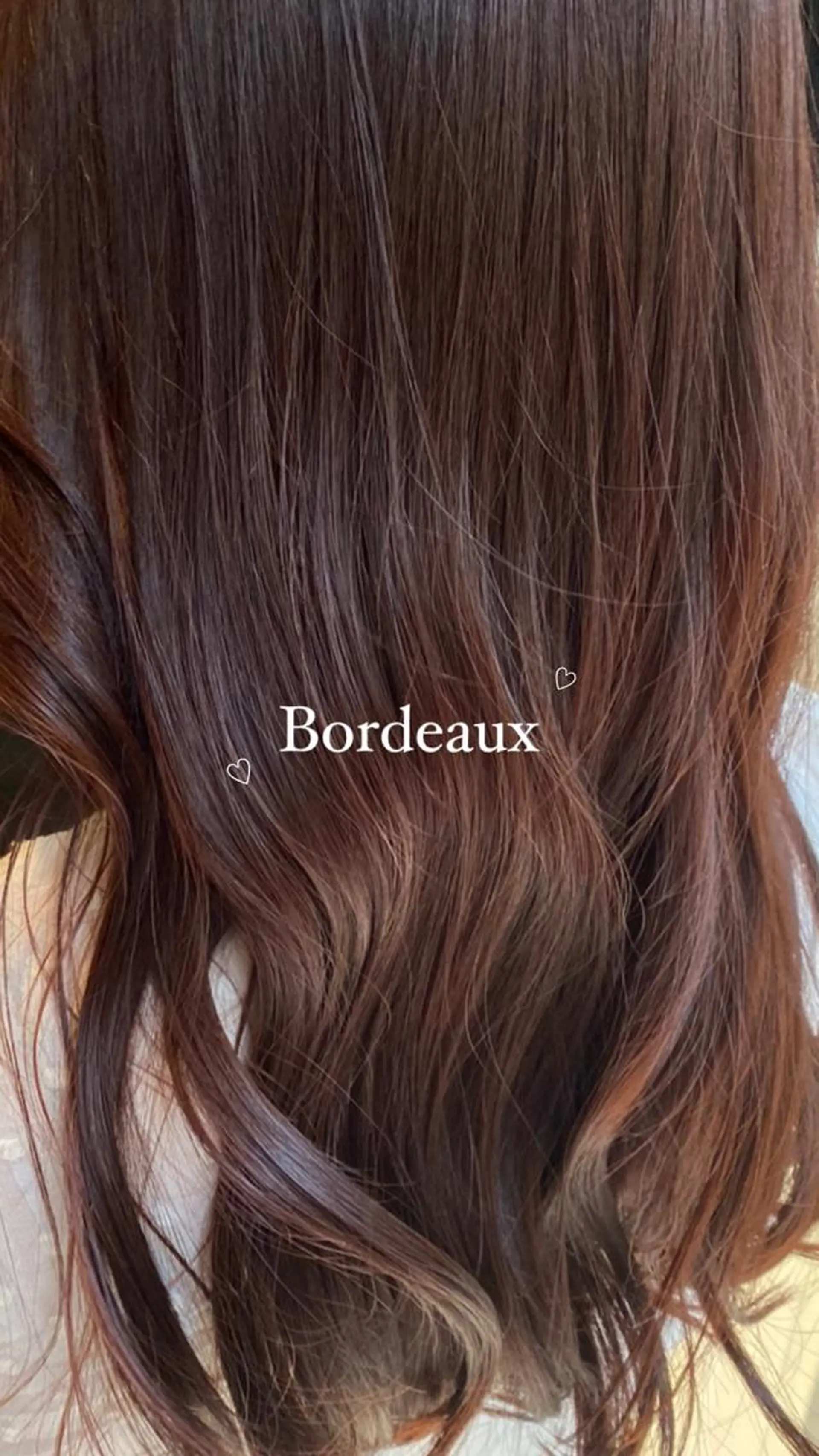 セミロング カラー ヘアアレンジ アンククロス渋谷【ANKH CROSS】所属・韓国ヘア┊︎レイヤー ┊︎haruka🌙のヘアスタイル